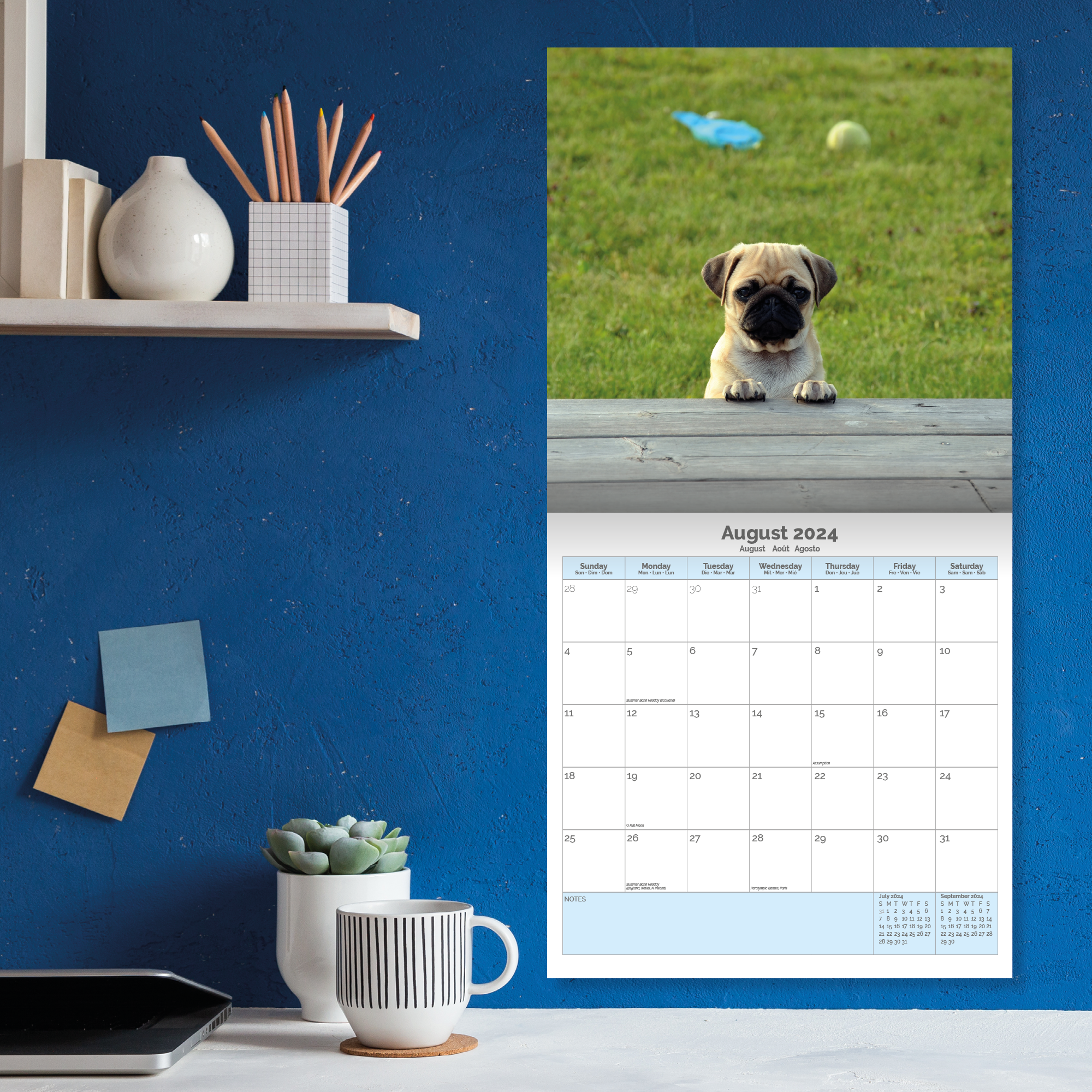 Pug Puppies Calendar 2024