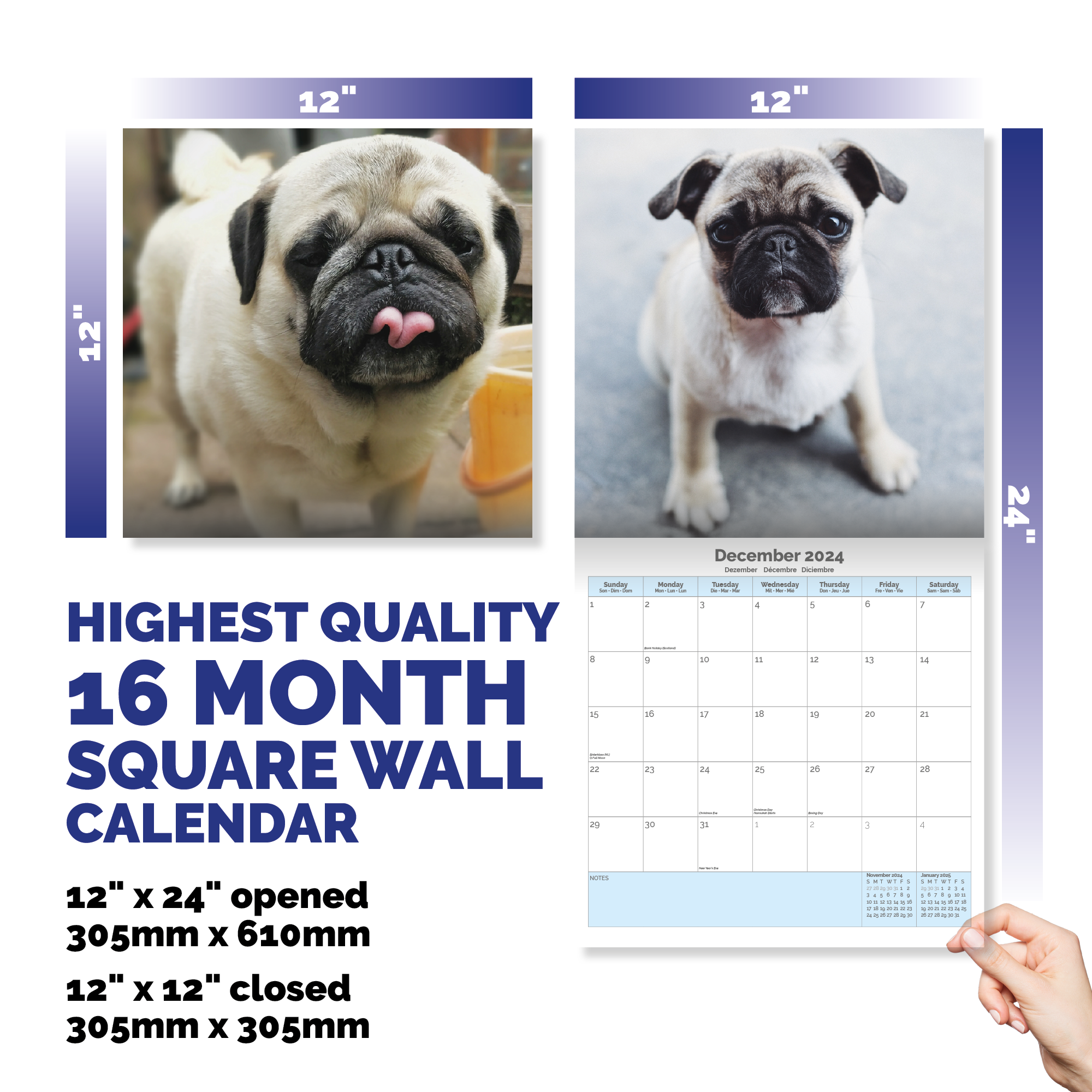 Pug Puppies Calendar 2024