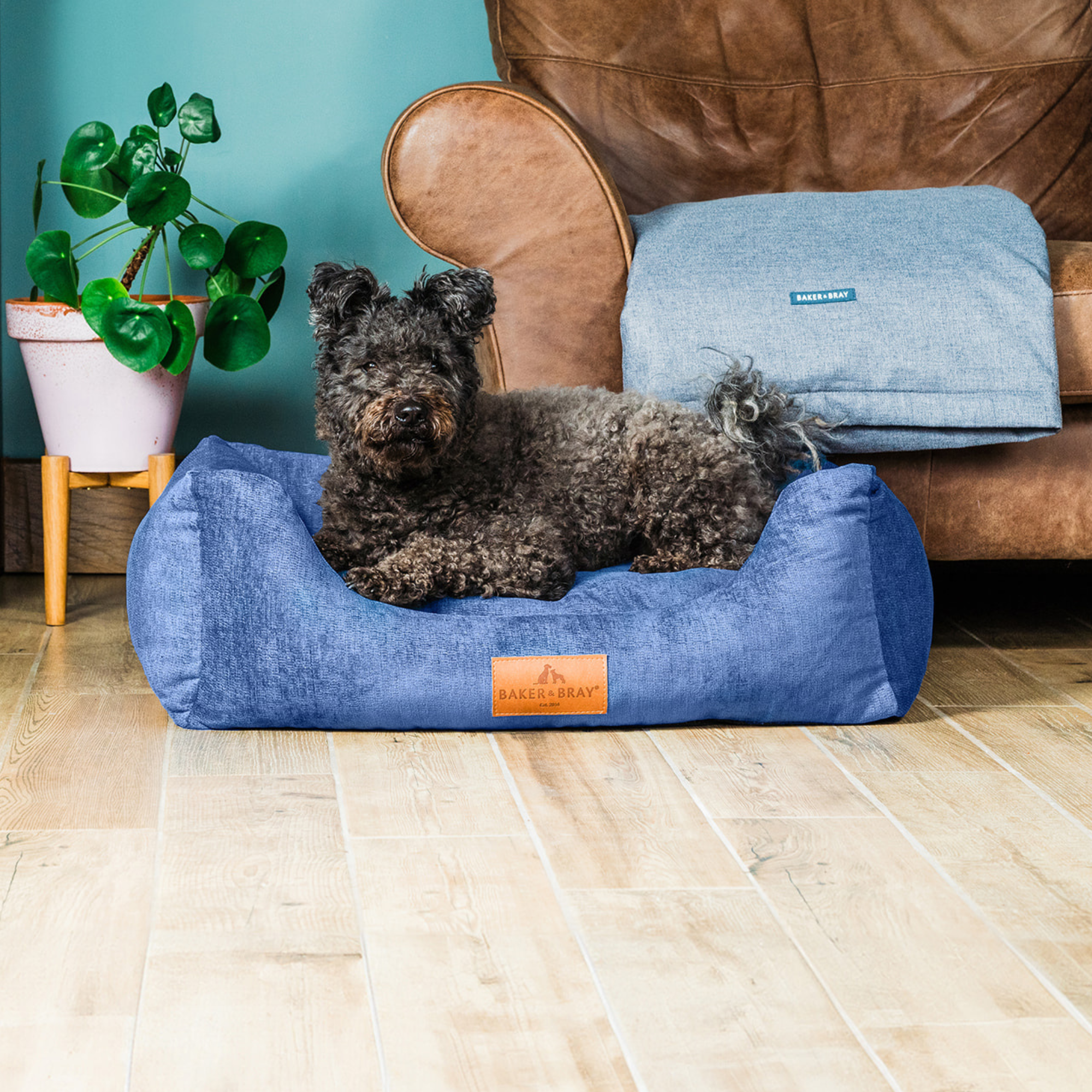 Eco Luxe Orthopaedic Luxury Dog Bed, Regal Blue