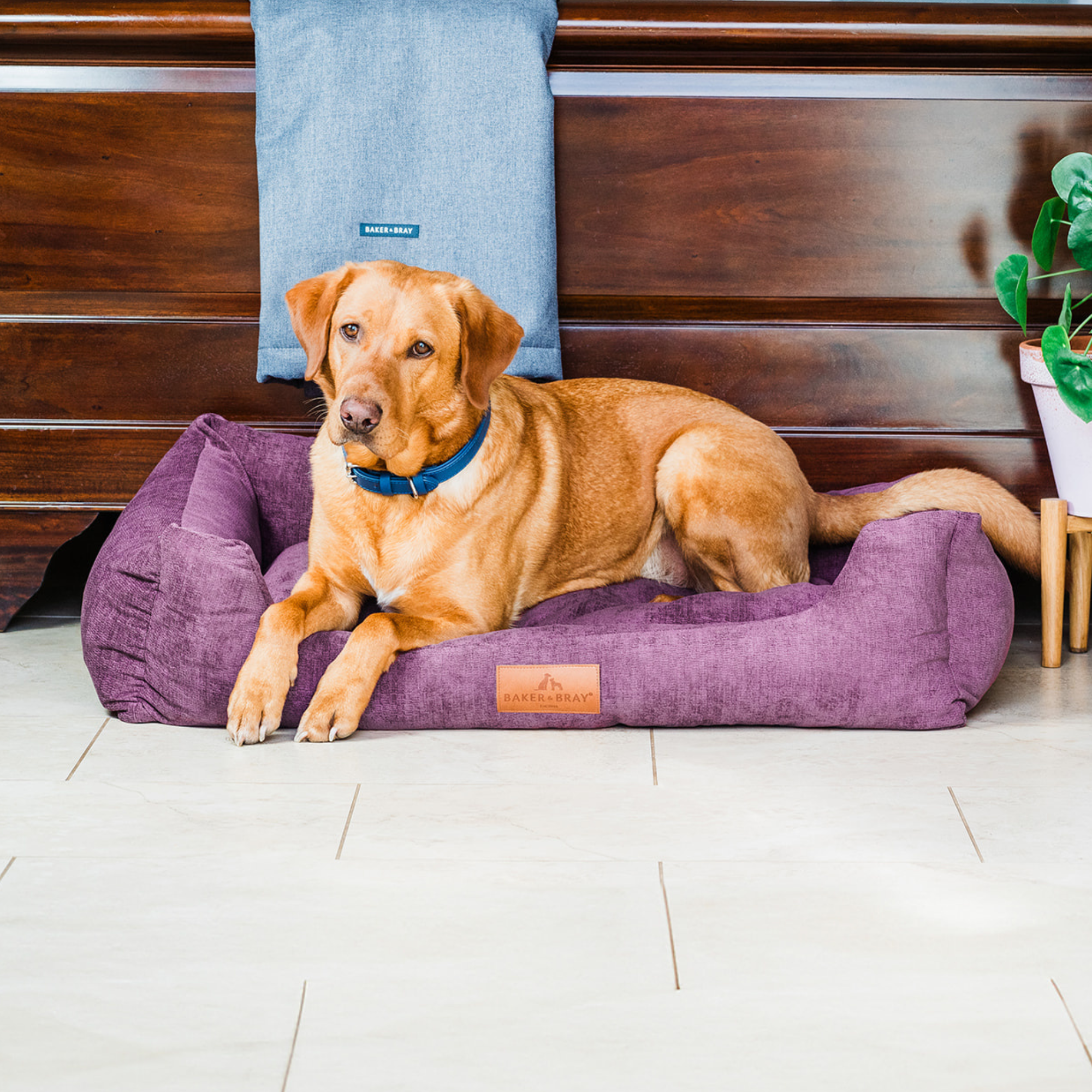 Eco Luxe Orthopaedic Luxury Dog Bed, Rhubarb Red