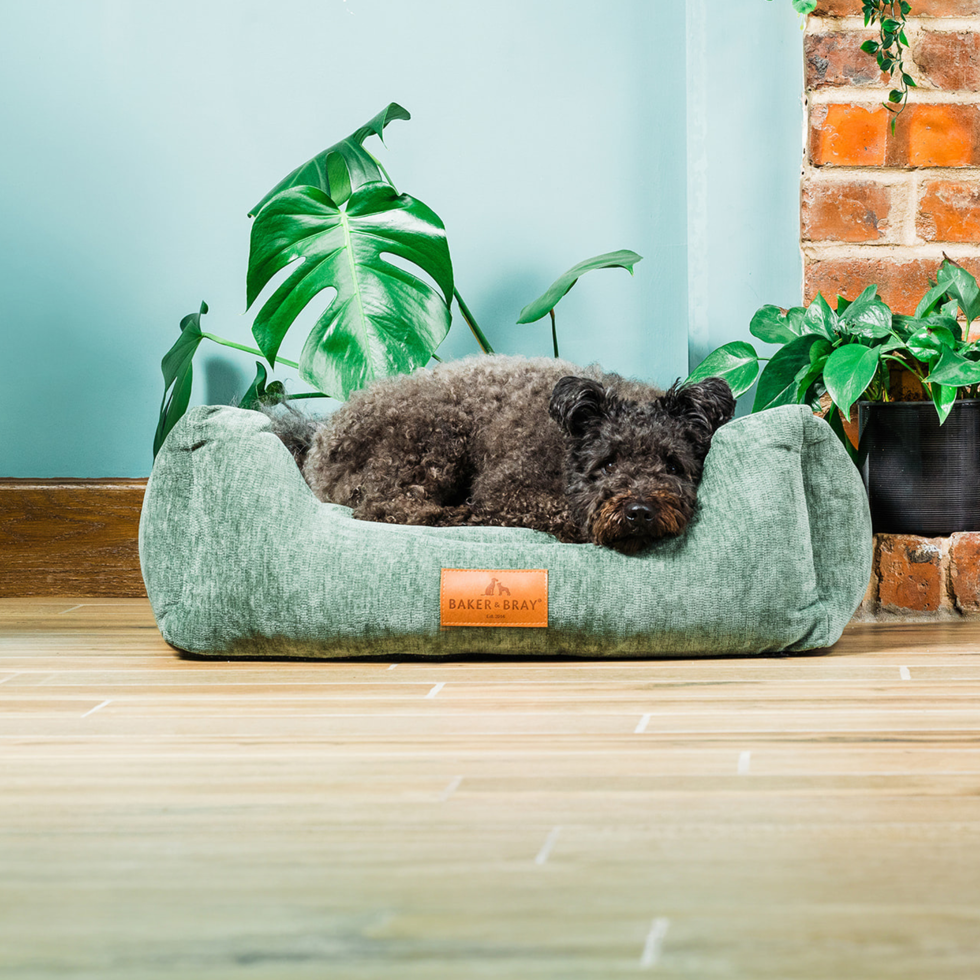 Eco Luxe Orthopaedic Luxury Dog Bed, Sage Green