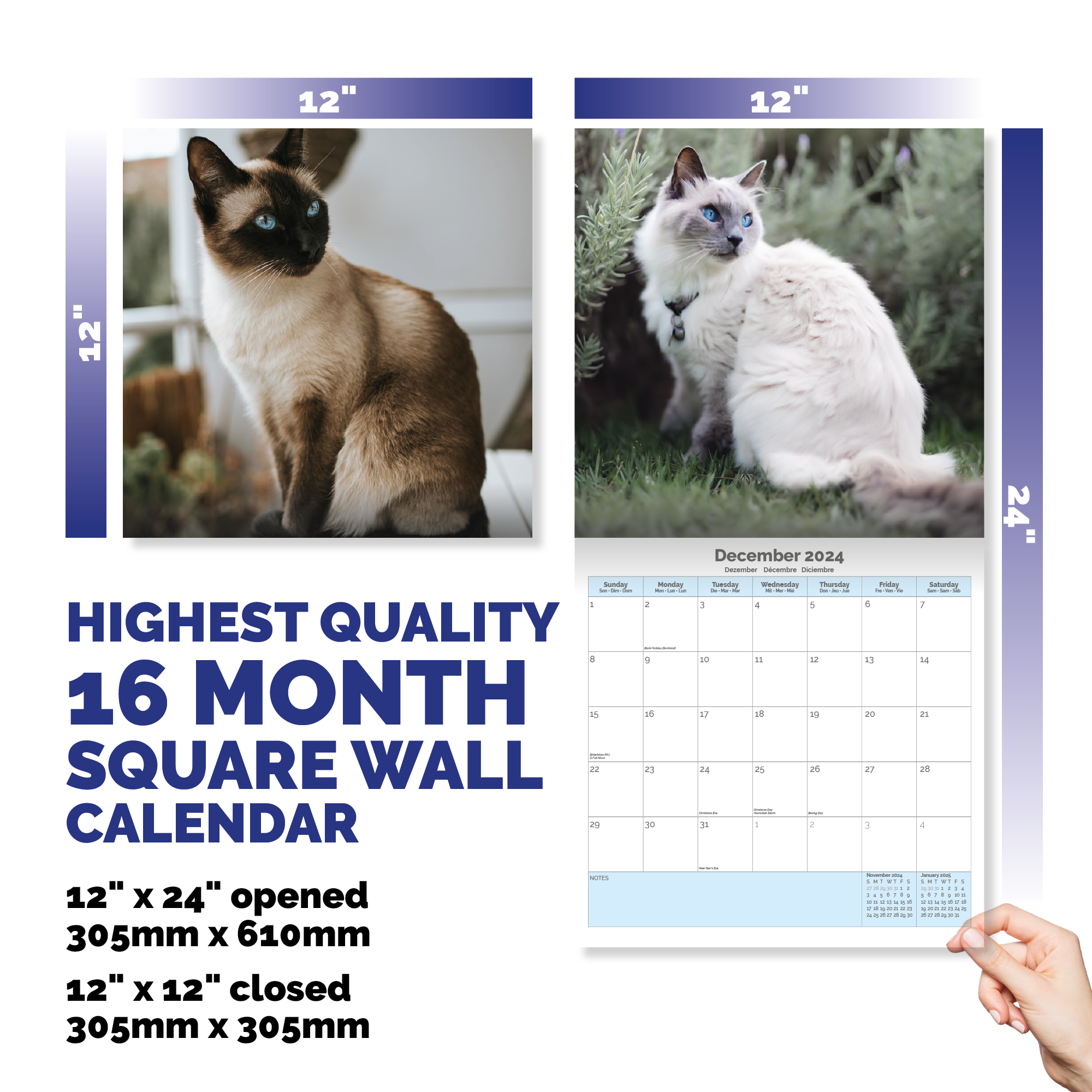 Siamese Cats Calendar 2024