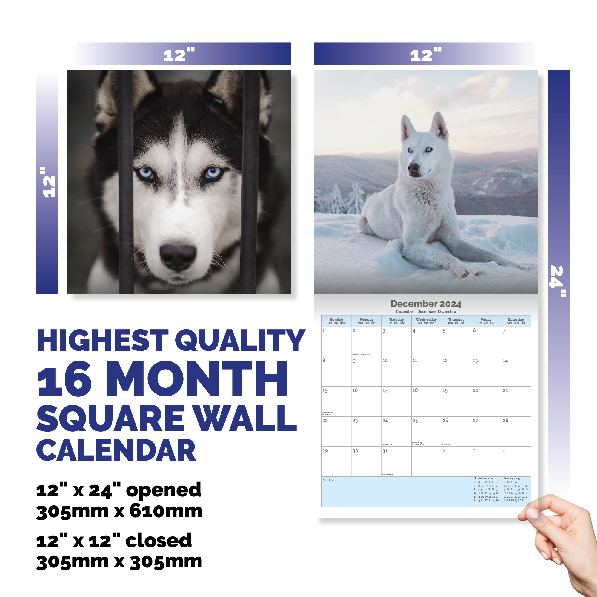 Siberian Husky Calendar 2024