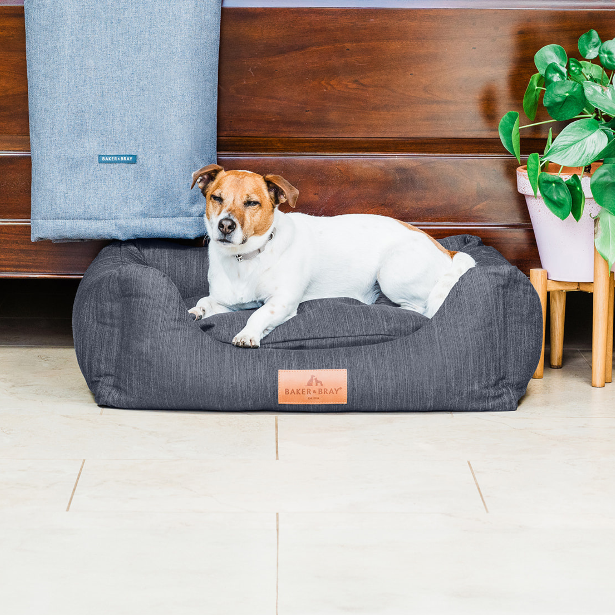 Eco Luxe Orthopaedic Luxury Dog Bed, Slate Grey