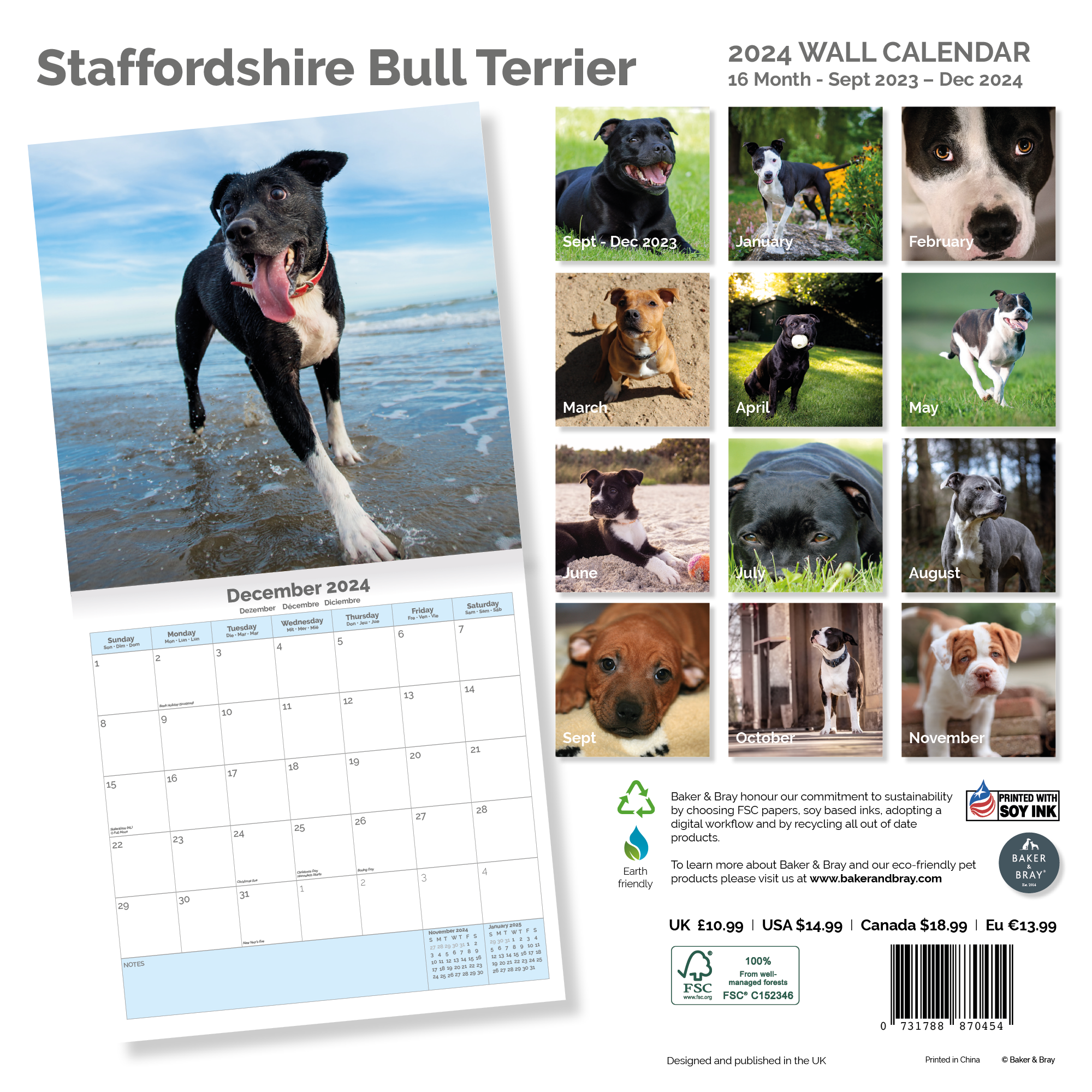 Staffordshire Bull Terrier Calendar 2024