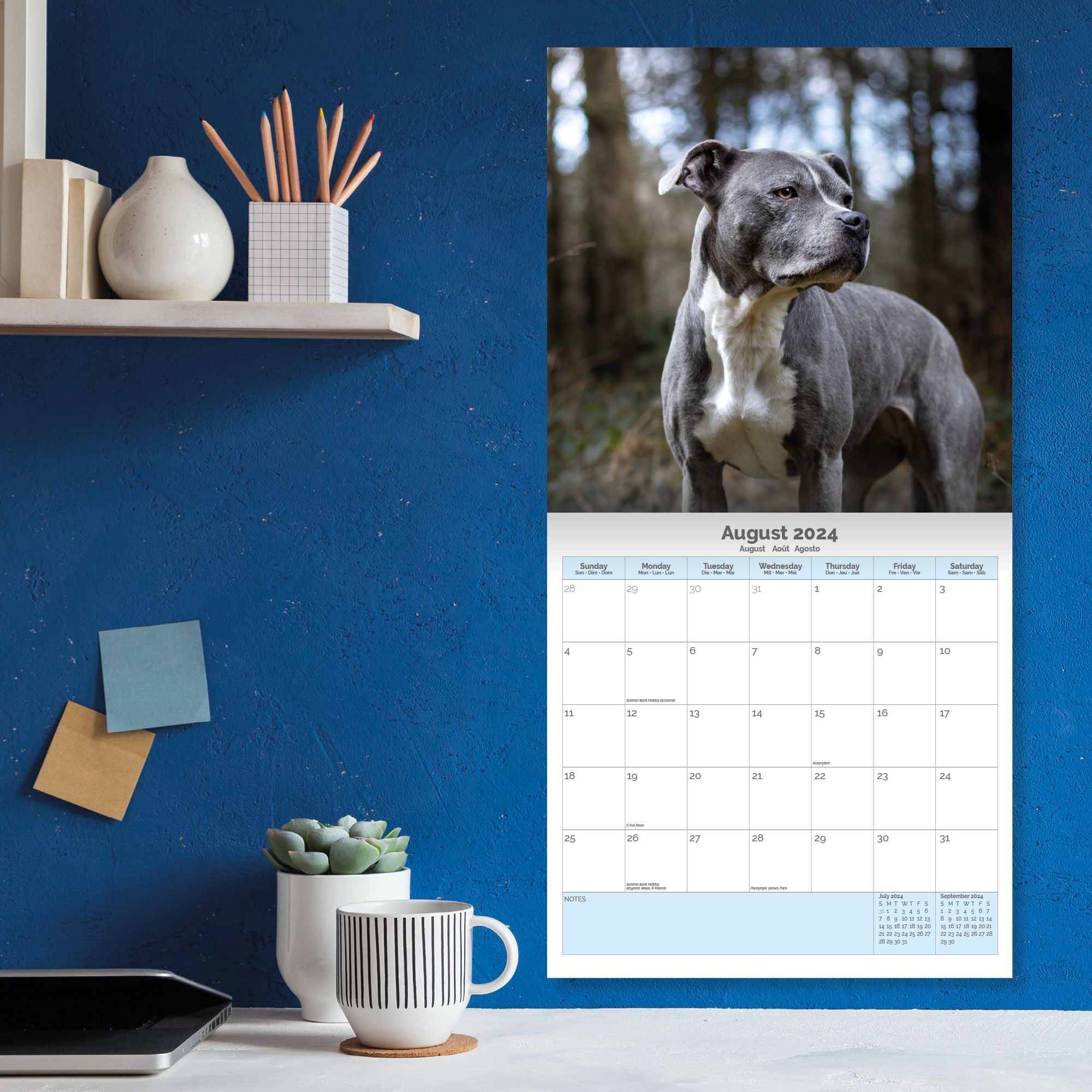 Staffordshire Bull Terrier Calendar 2024