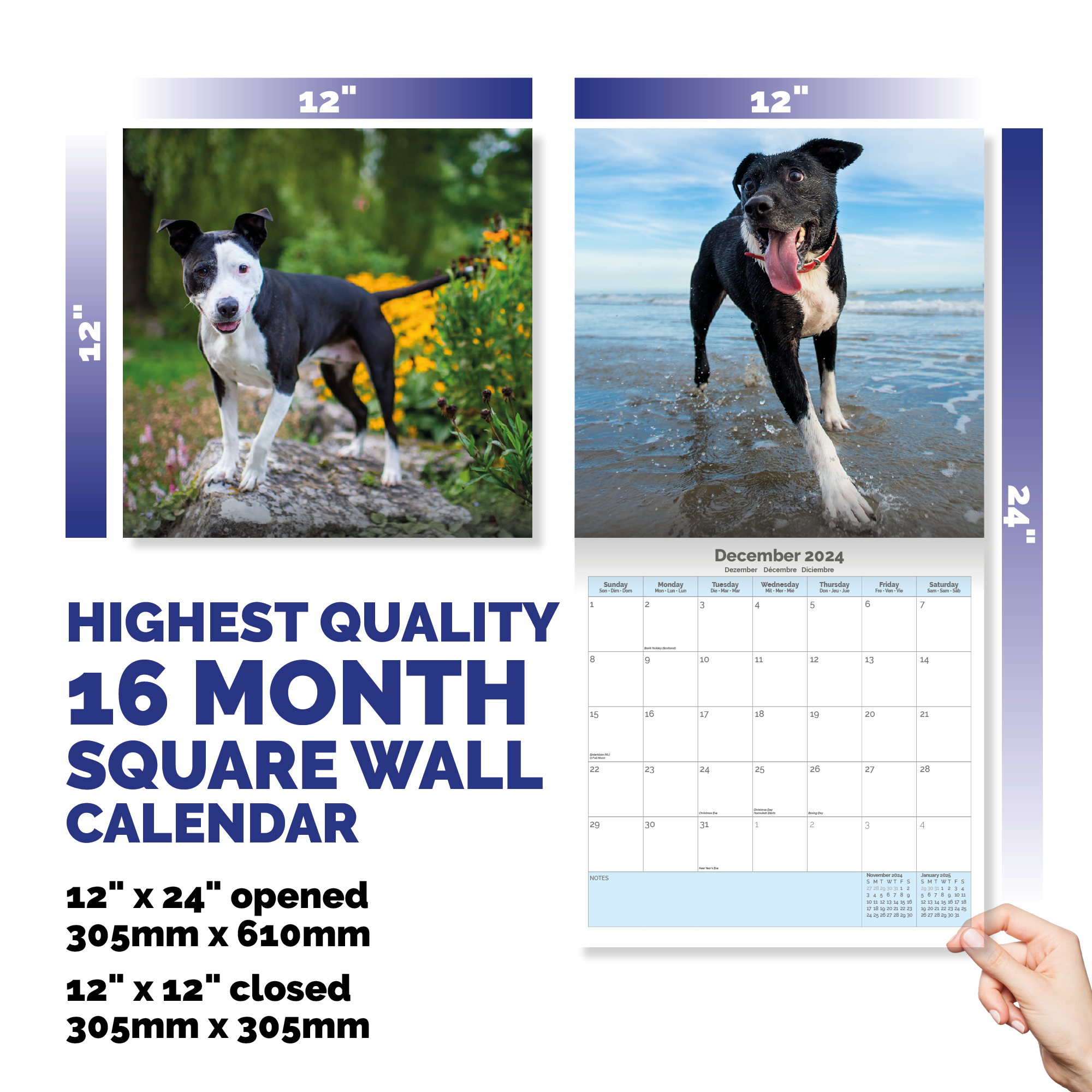 Staffordshire Bull Terrier Calendar 2024