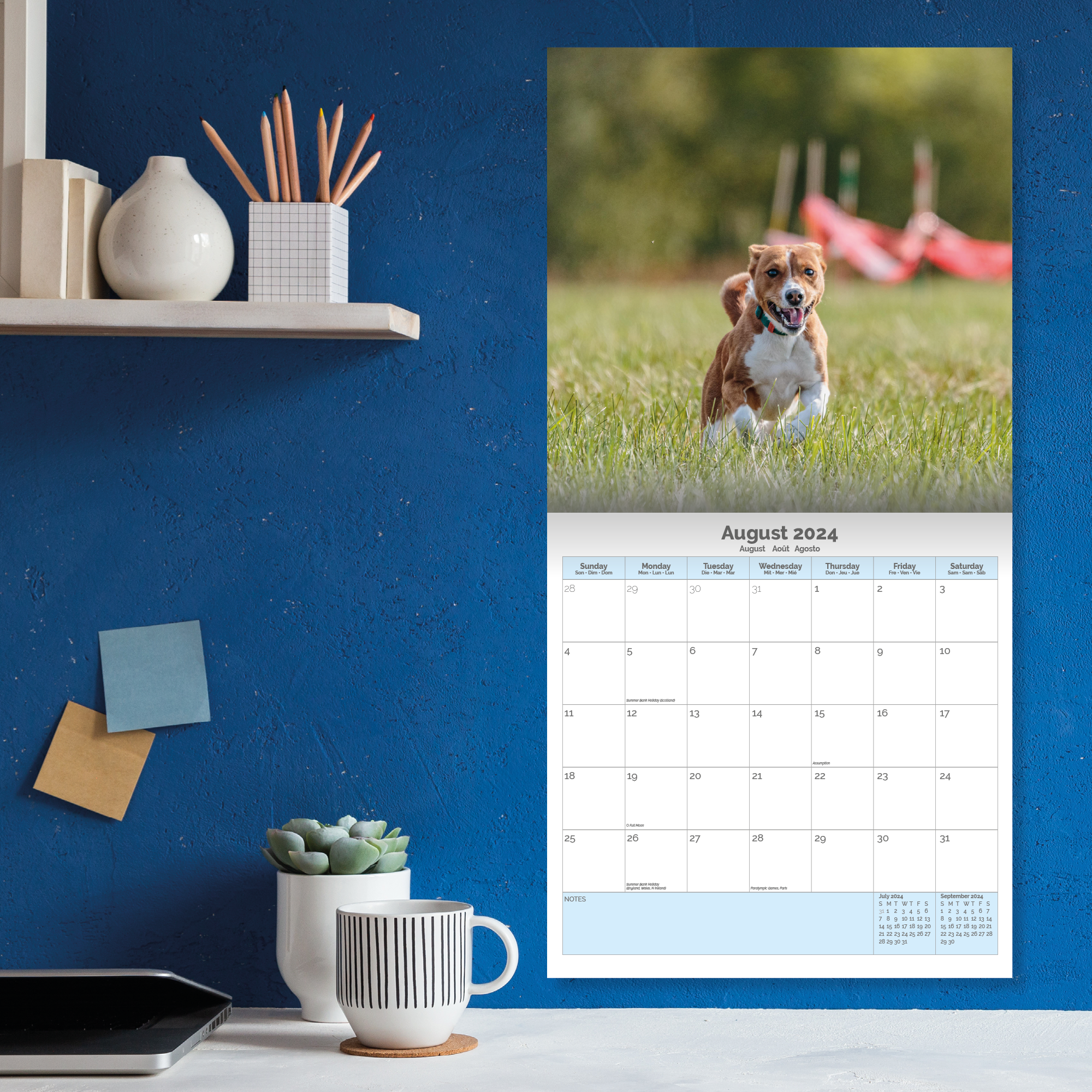 Staffordshire Bull Terrier Puppies Calendar 2024