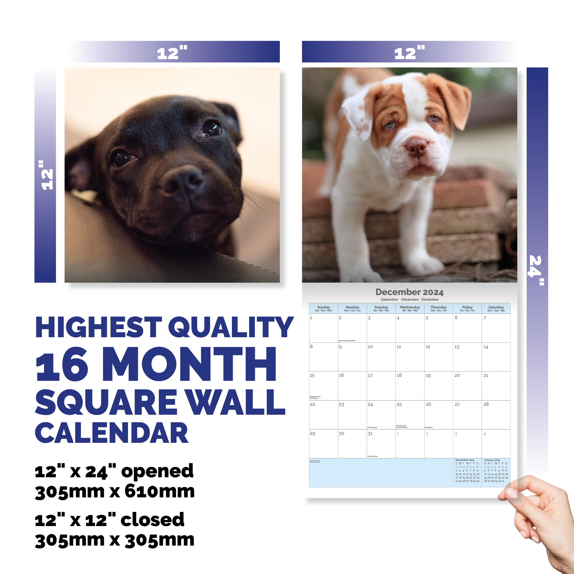 Staffordshire Bull Terrier Puppies Calendar 2024