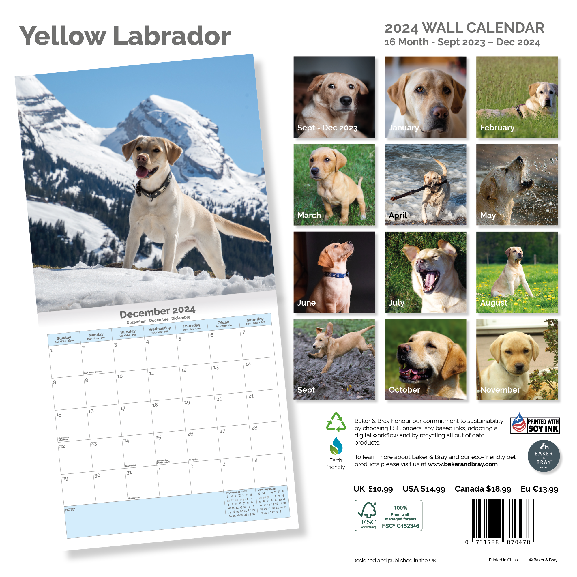 Yellow Labrador Retriever Calendar 2024
