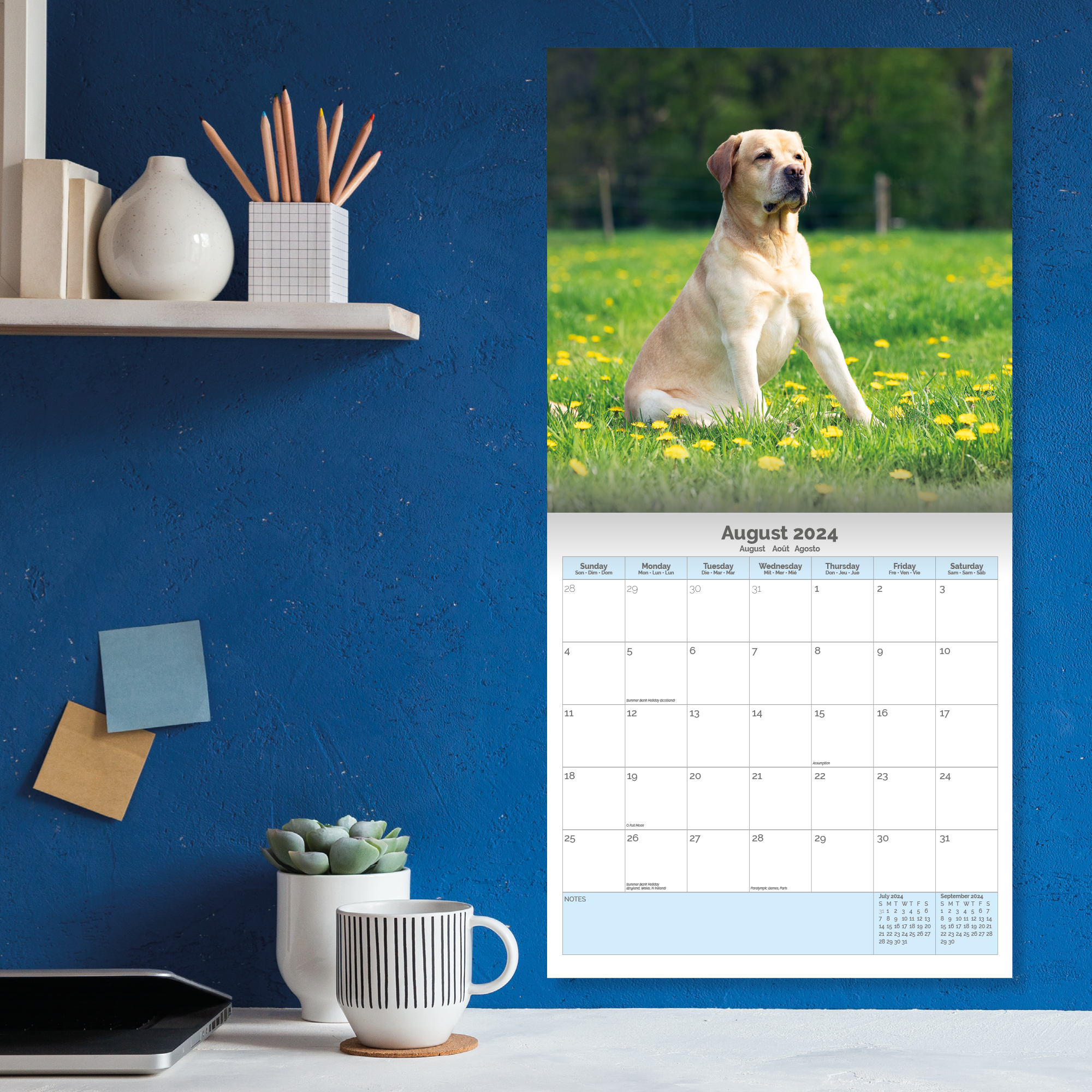 Yellow Labrador Retriever Calendar 2024