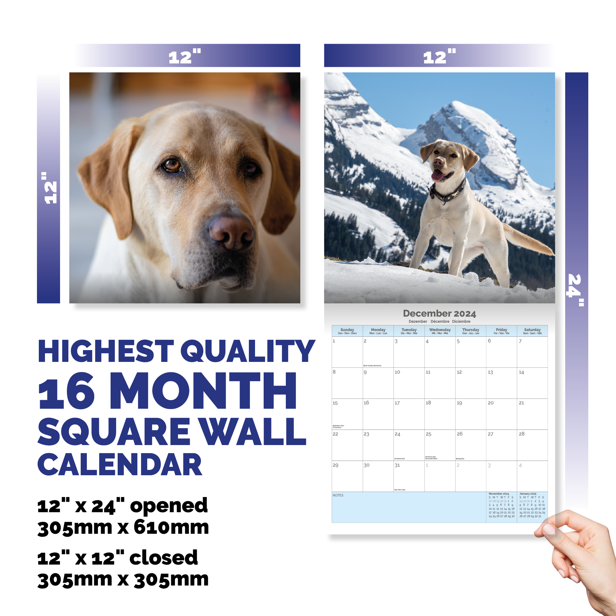 Yellow Labrador Retriever Calendar 2024