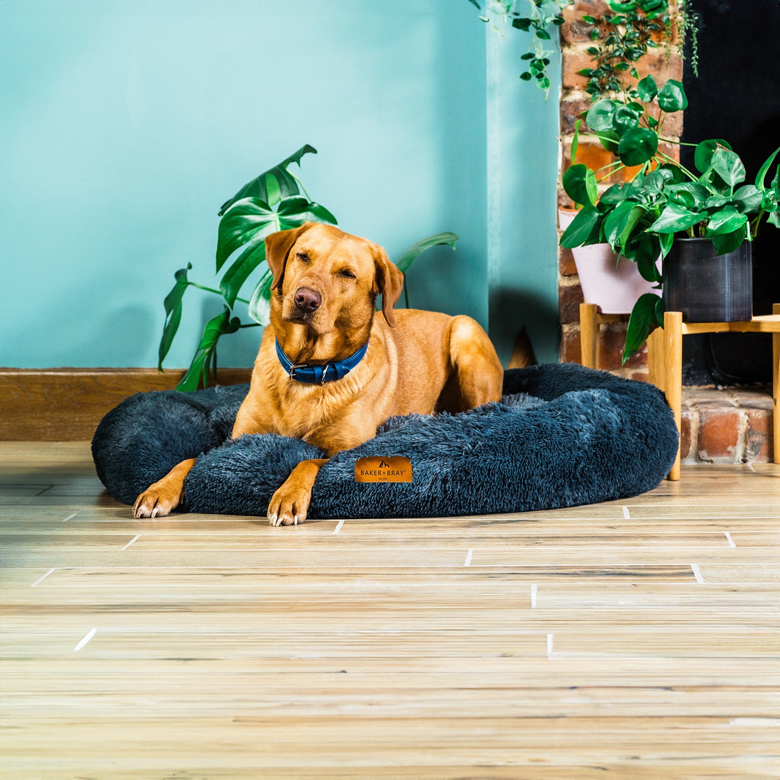 eco friendly luxury calming donut dog bed