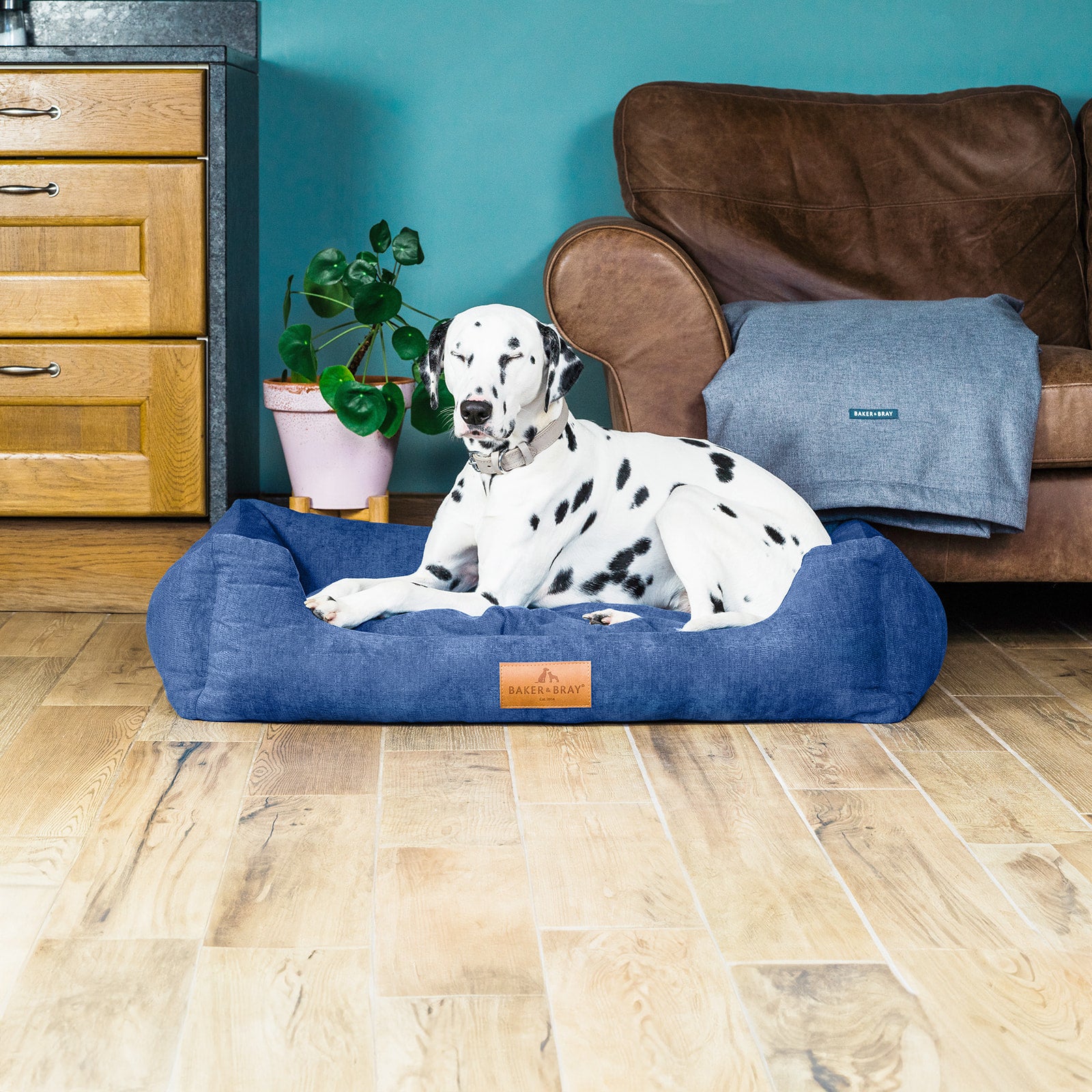 Eco Luxe Orthopaedic Luxury Dog Bed, Regal Blue