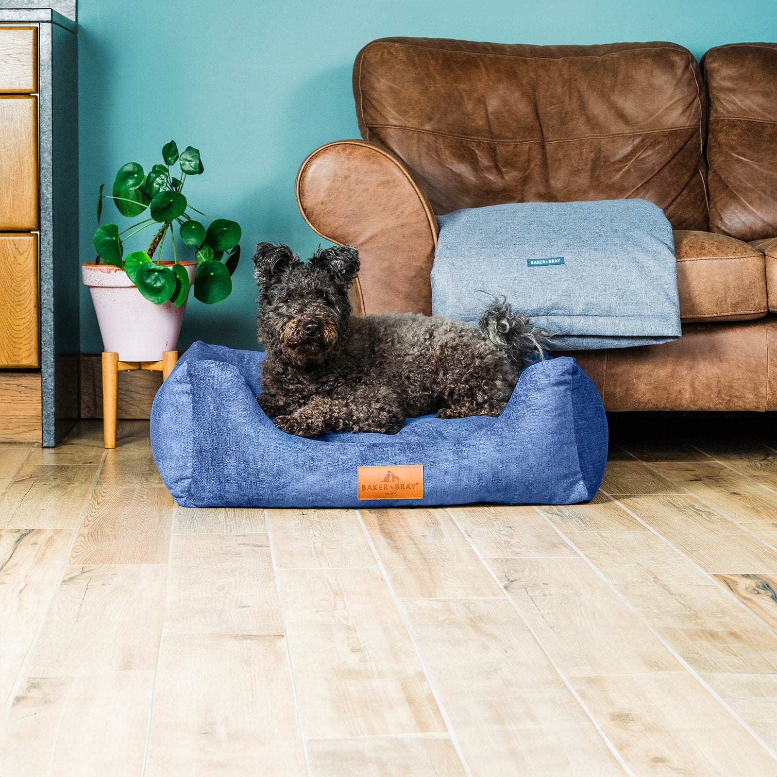 Eco Luxe Orthopaedic Luxury Dog Bed, Regal Blue