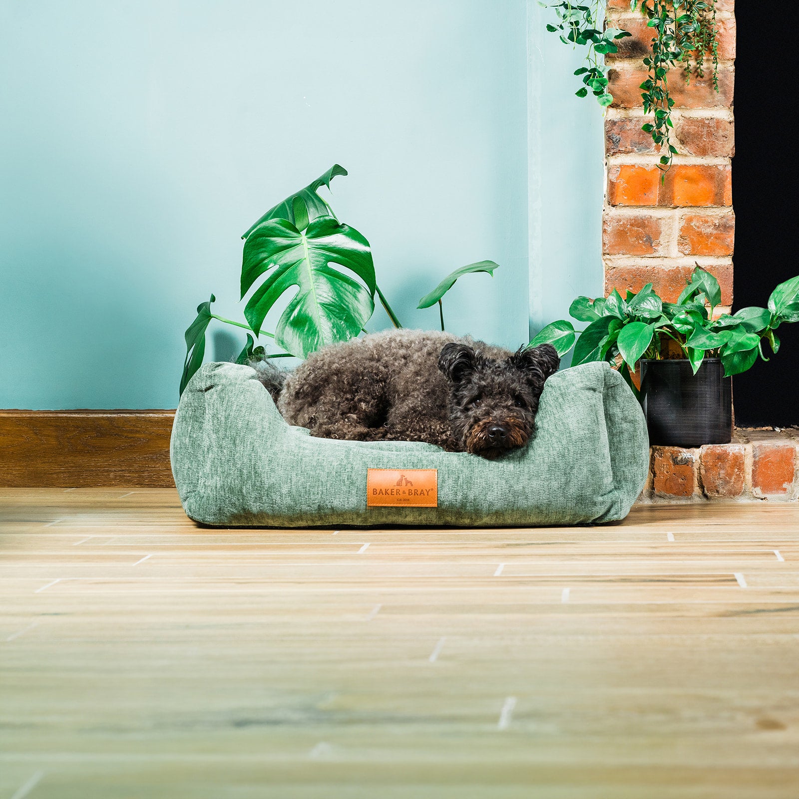 Eco Luxe Orthopaedic Luxury Dog Bed, Sage Green