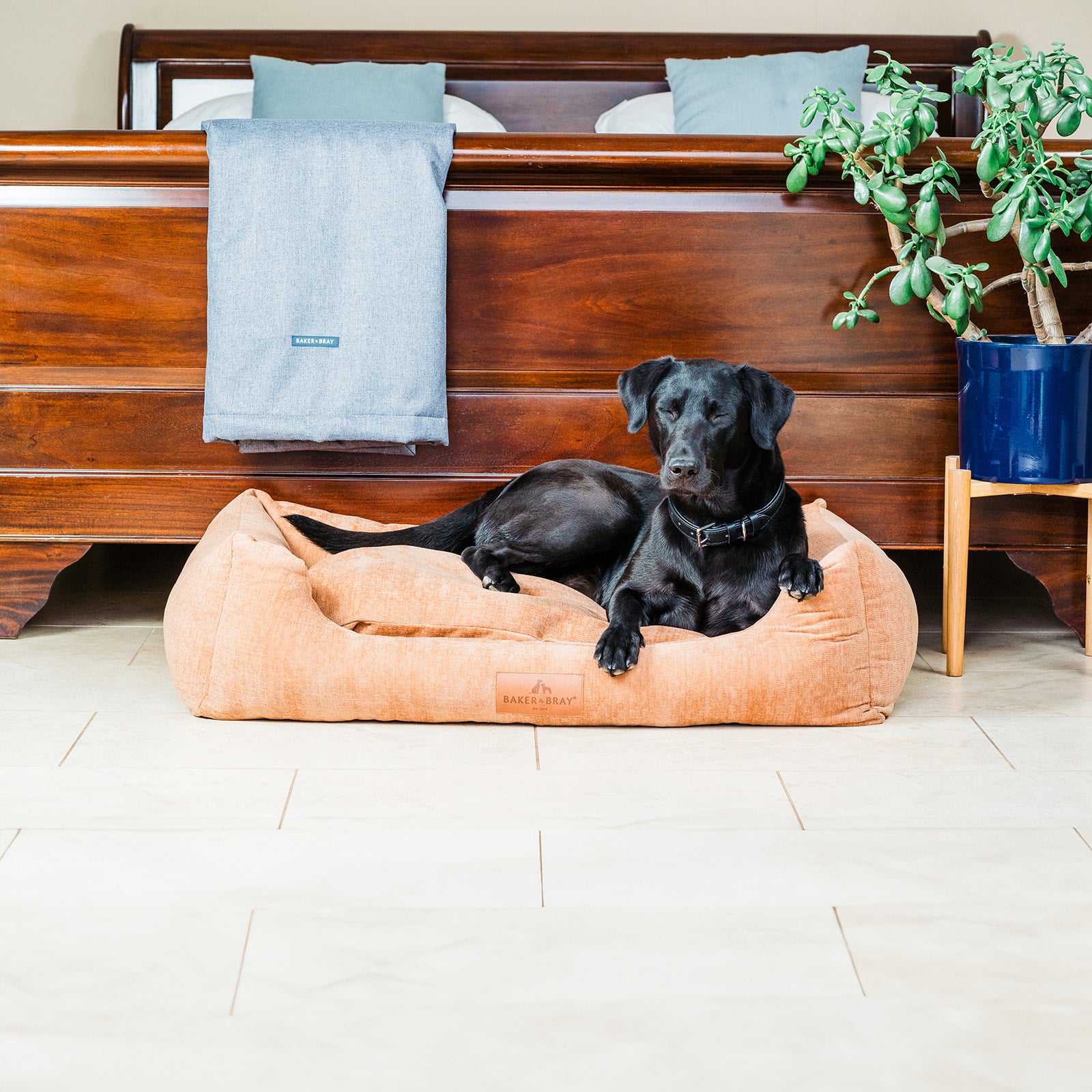 Eco Luxe Orthopaedic Luxury Dog Bed, Peach Fuzz