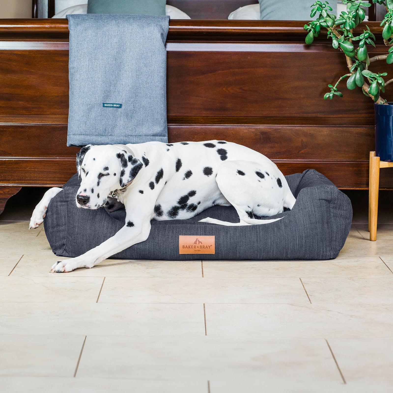 Eco Luxe Orthopaedic Luxury Dog Bed, Slate Grey