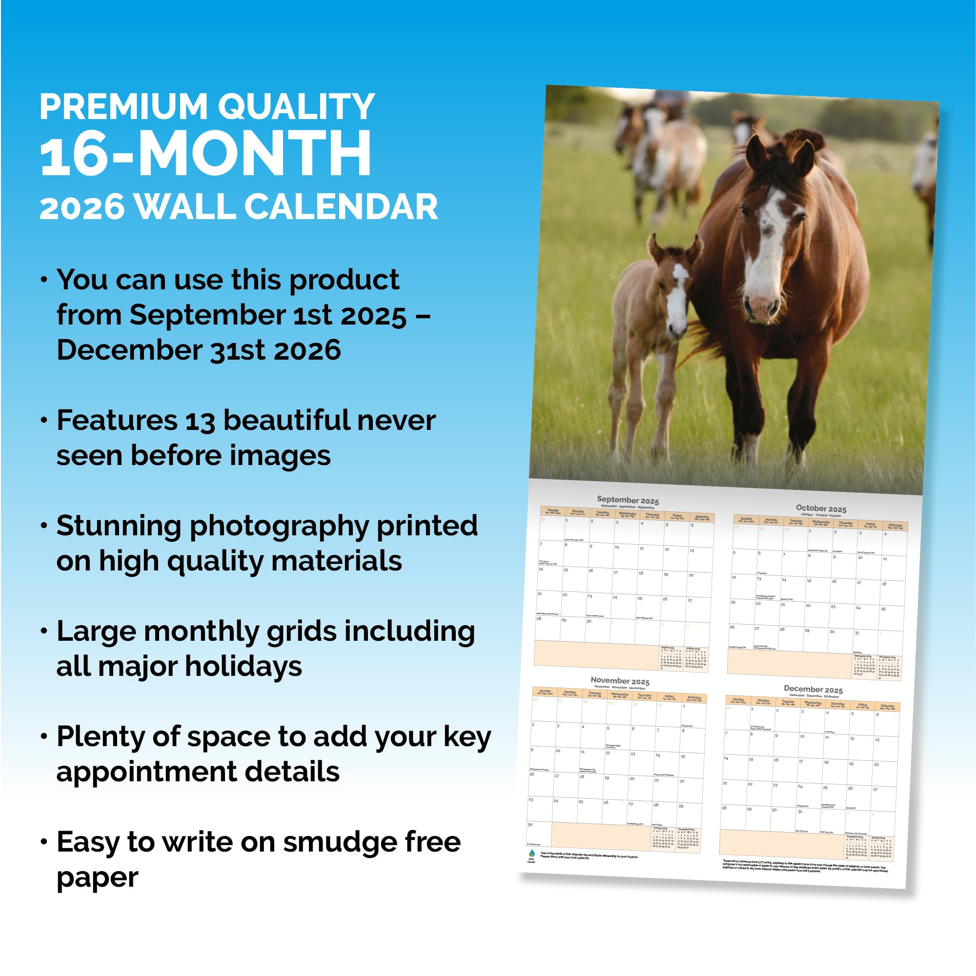 Horses Calendar 2026