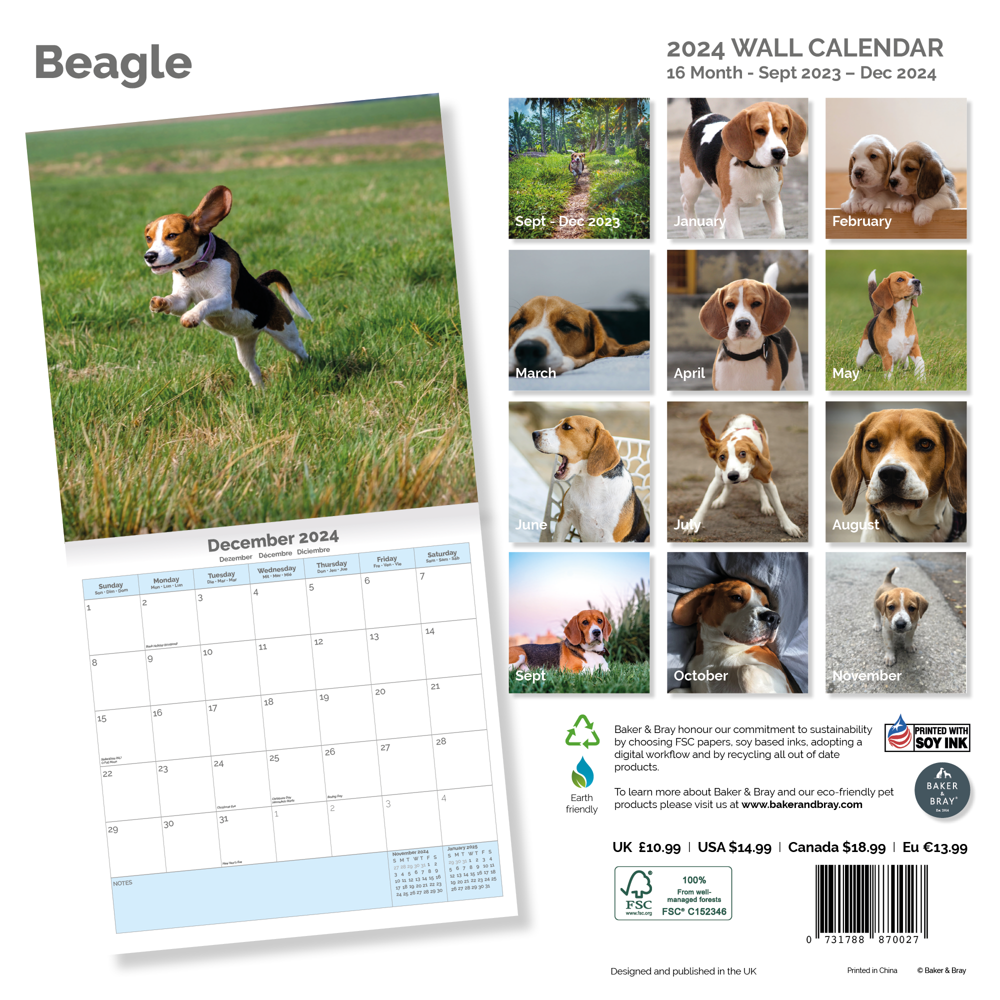 Beagle Calendar 2024