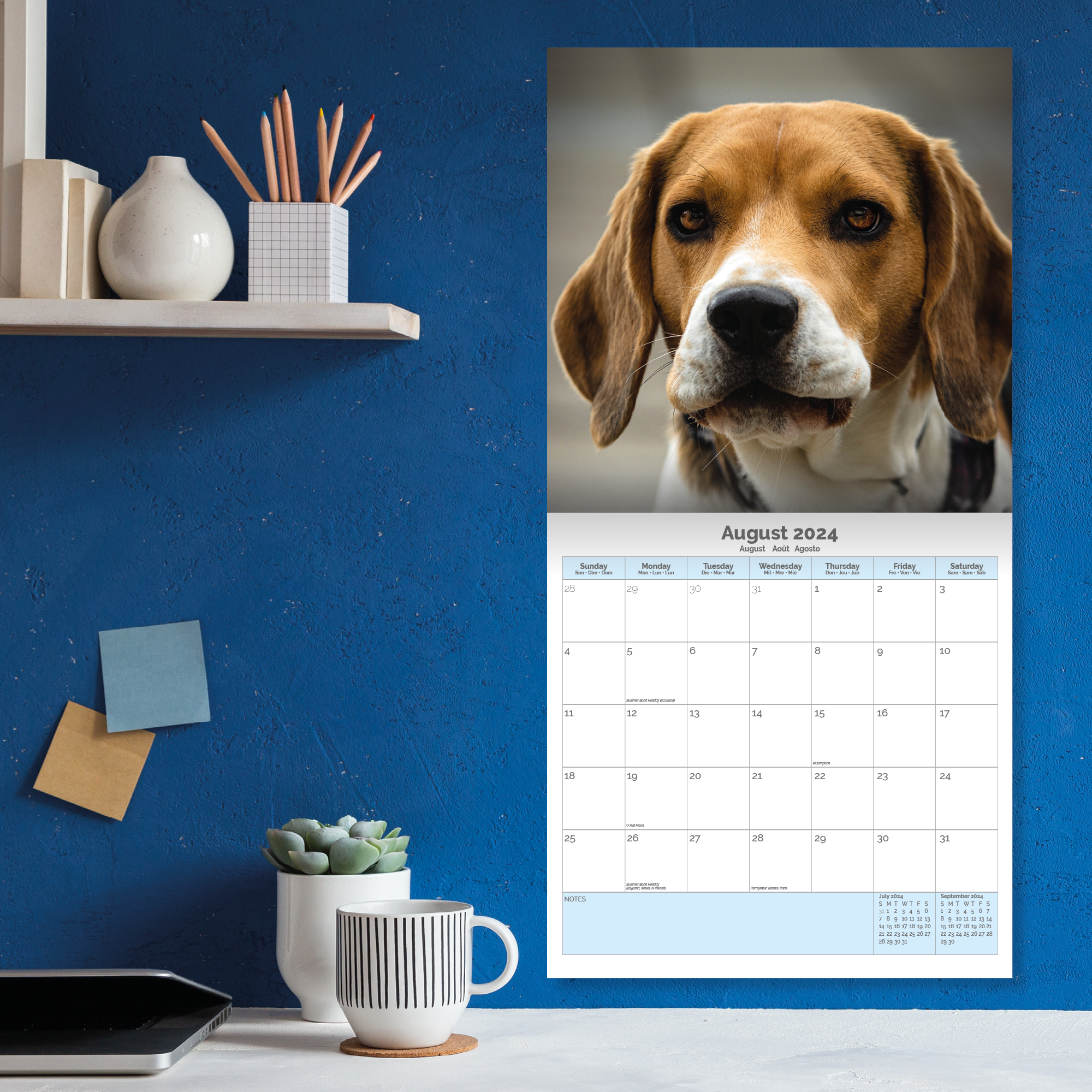 Beagle Calendar 2024