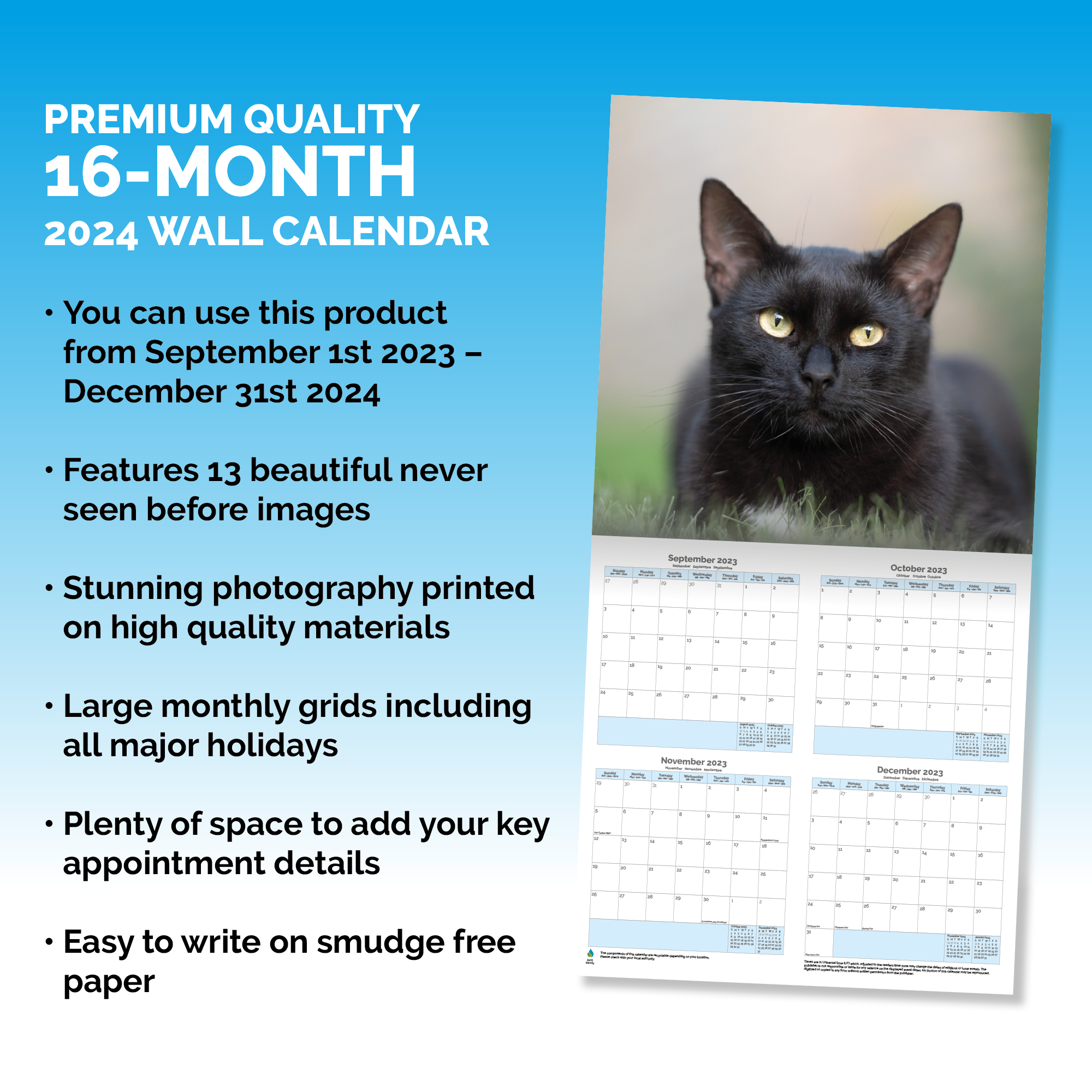 Black Cats Calendar 2024