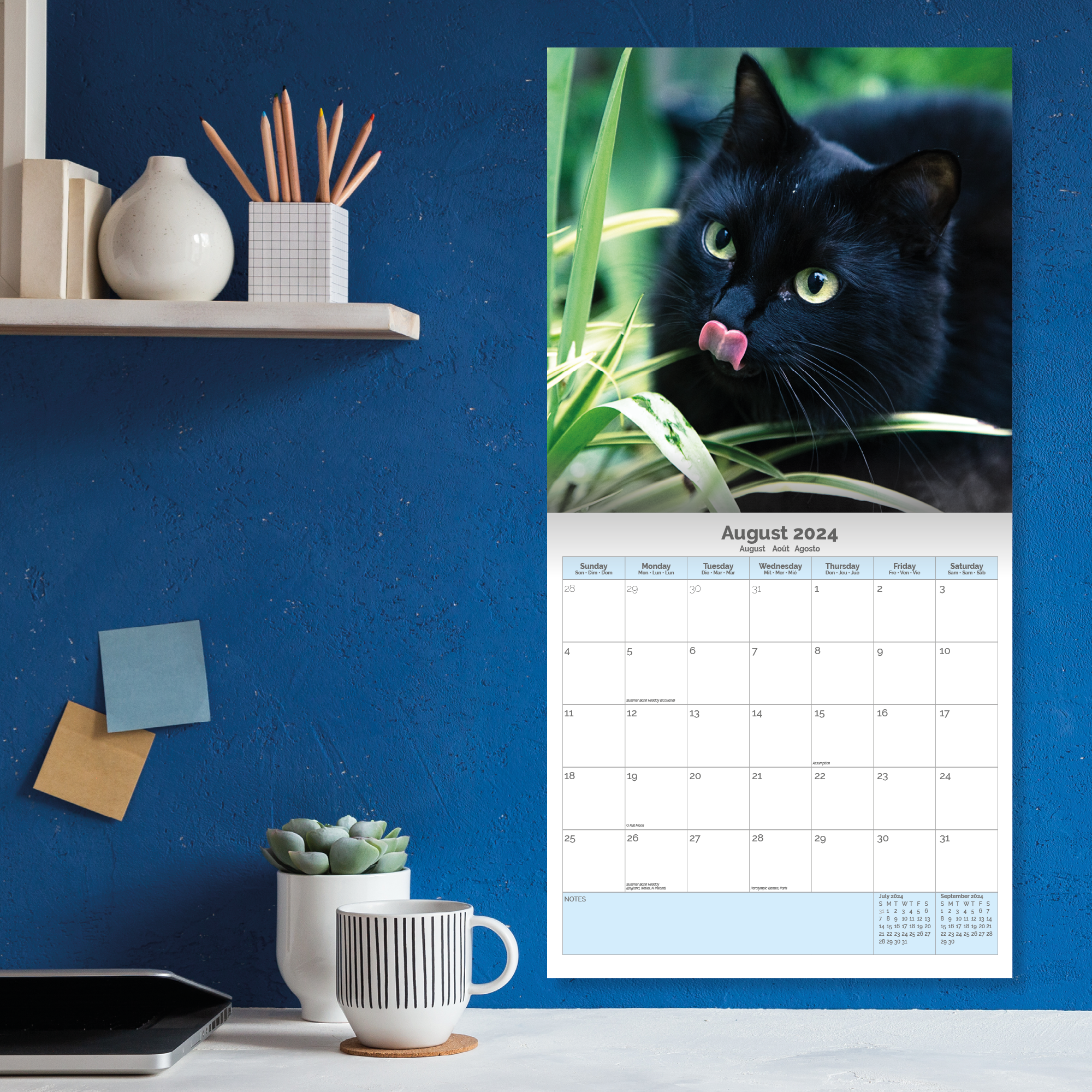 Black Cats Calendar 2024