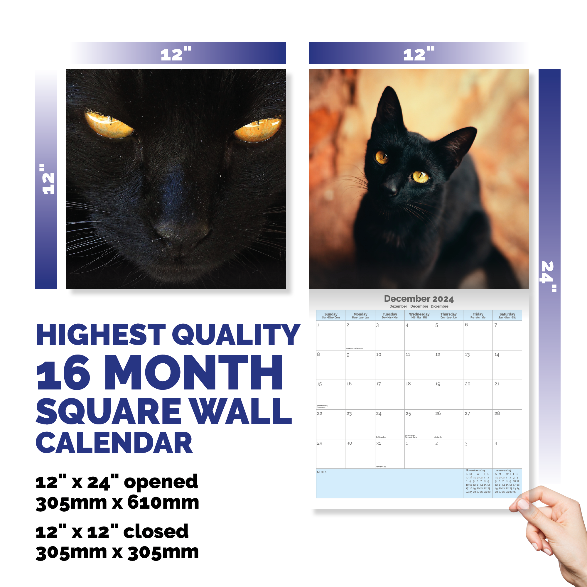 Black Cats Calendar 2024