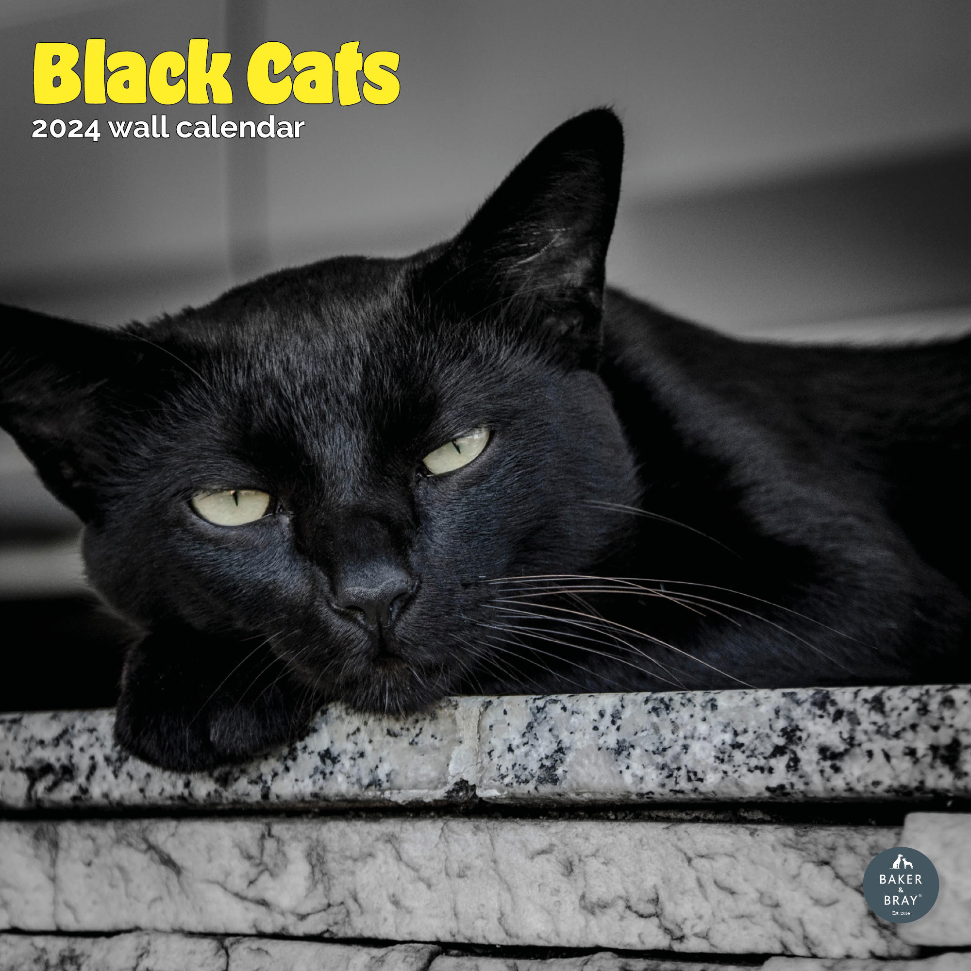 Black Cats Calendar 2024