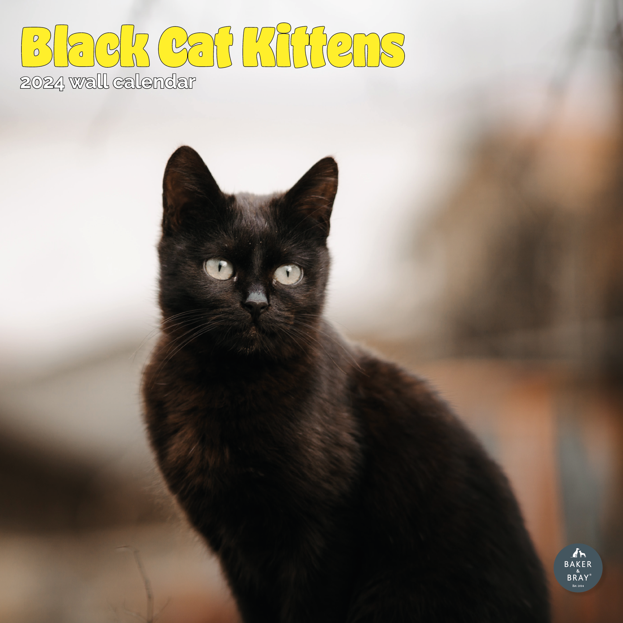 Black Cat Kittens Calendar 2024