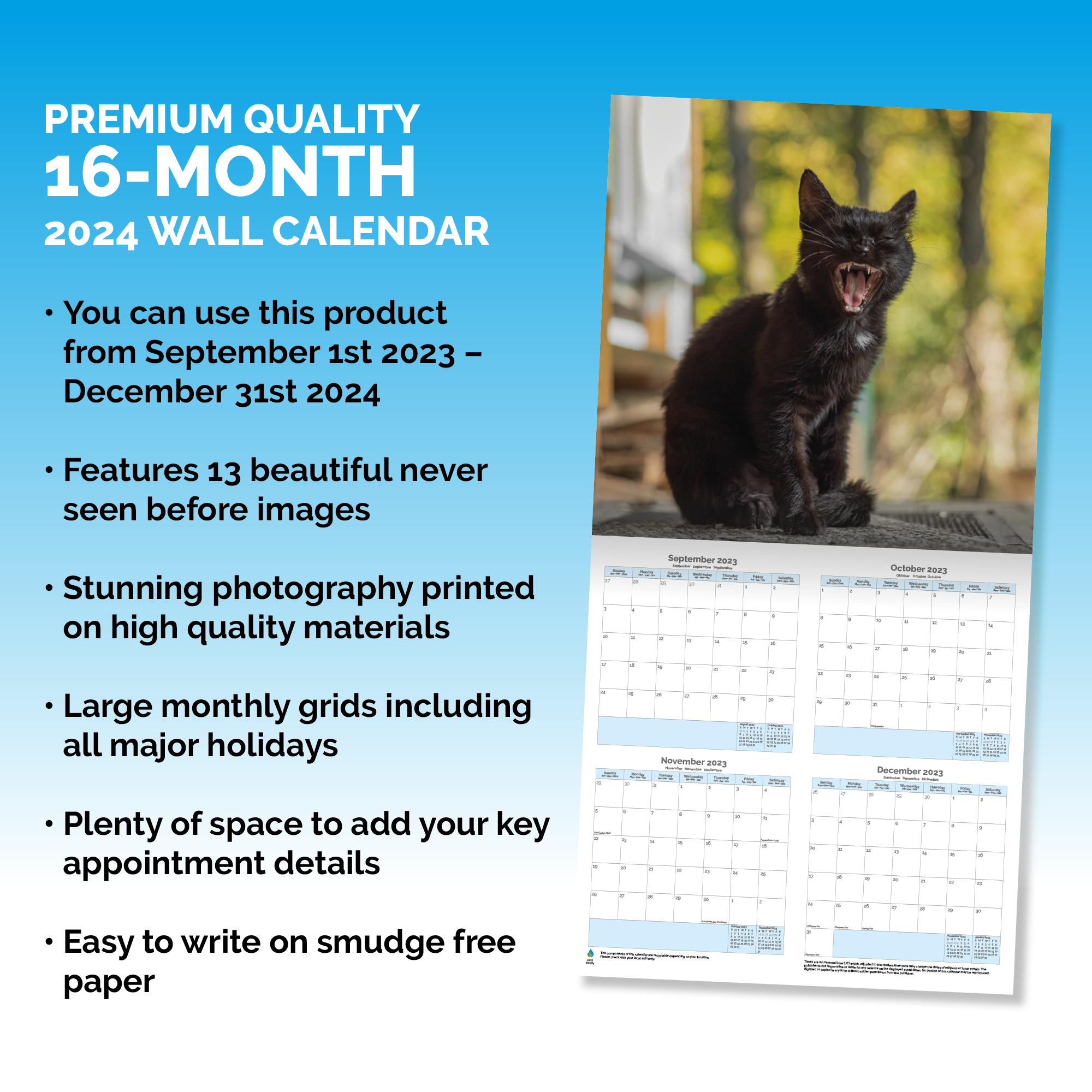 Black Cat Kittens Calendar 2024