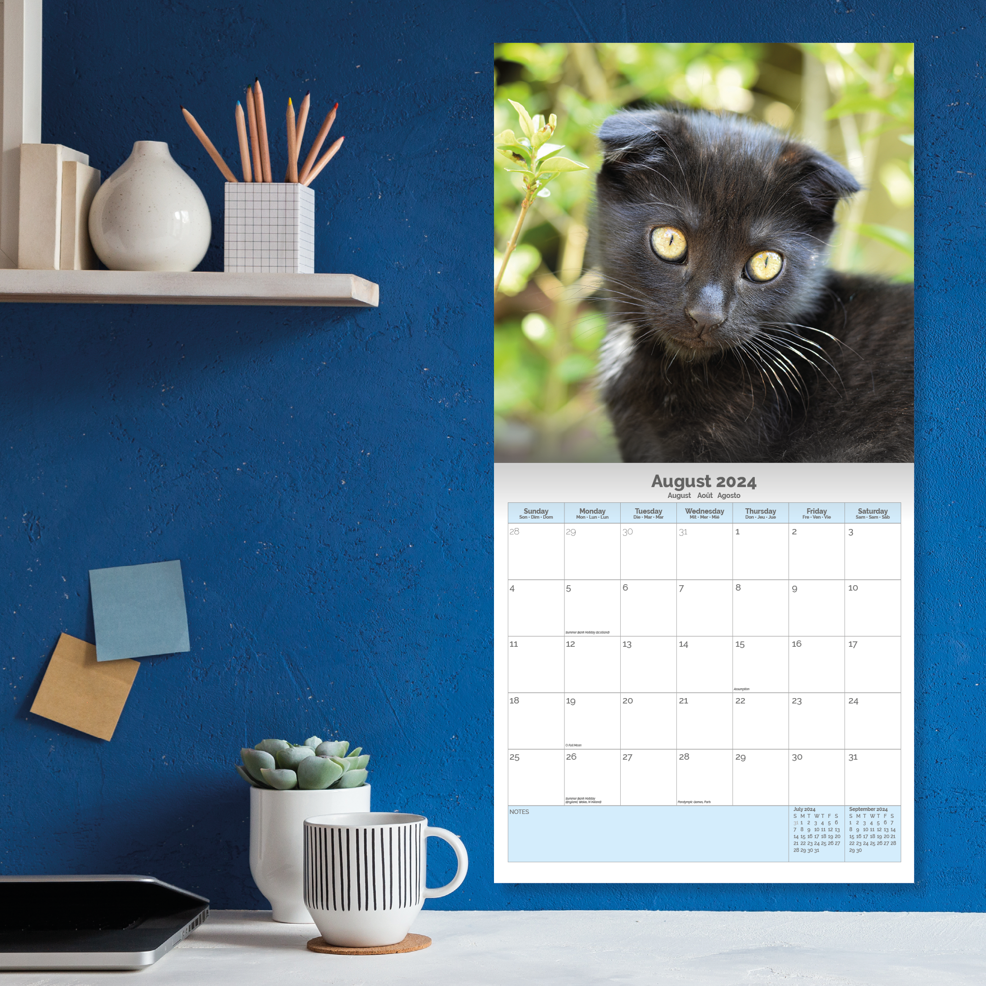 Black Cat Kittens Calendar 2024