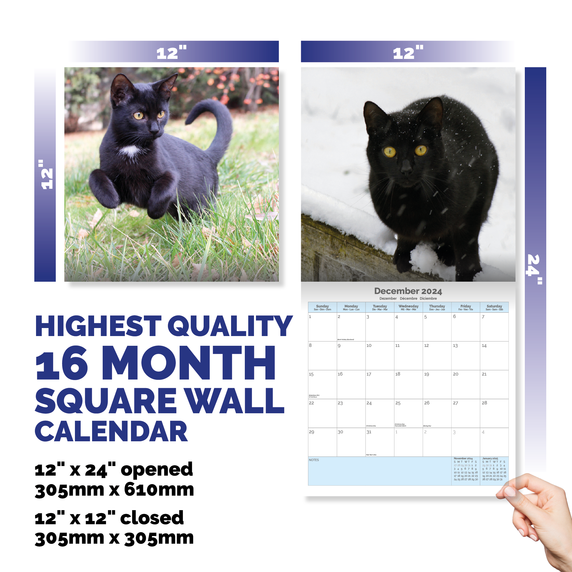 Black Cat Kittens Calendar 2024