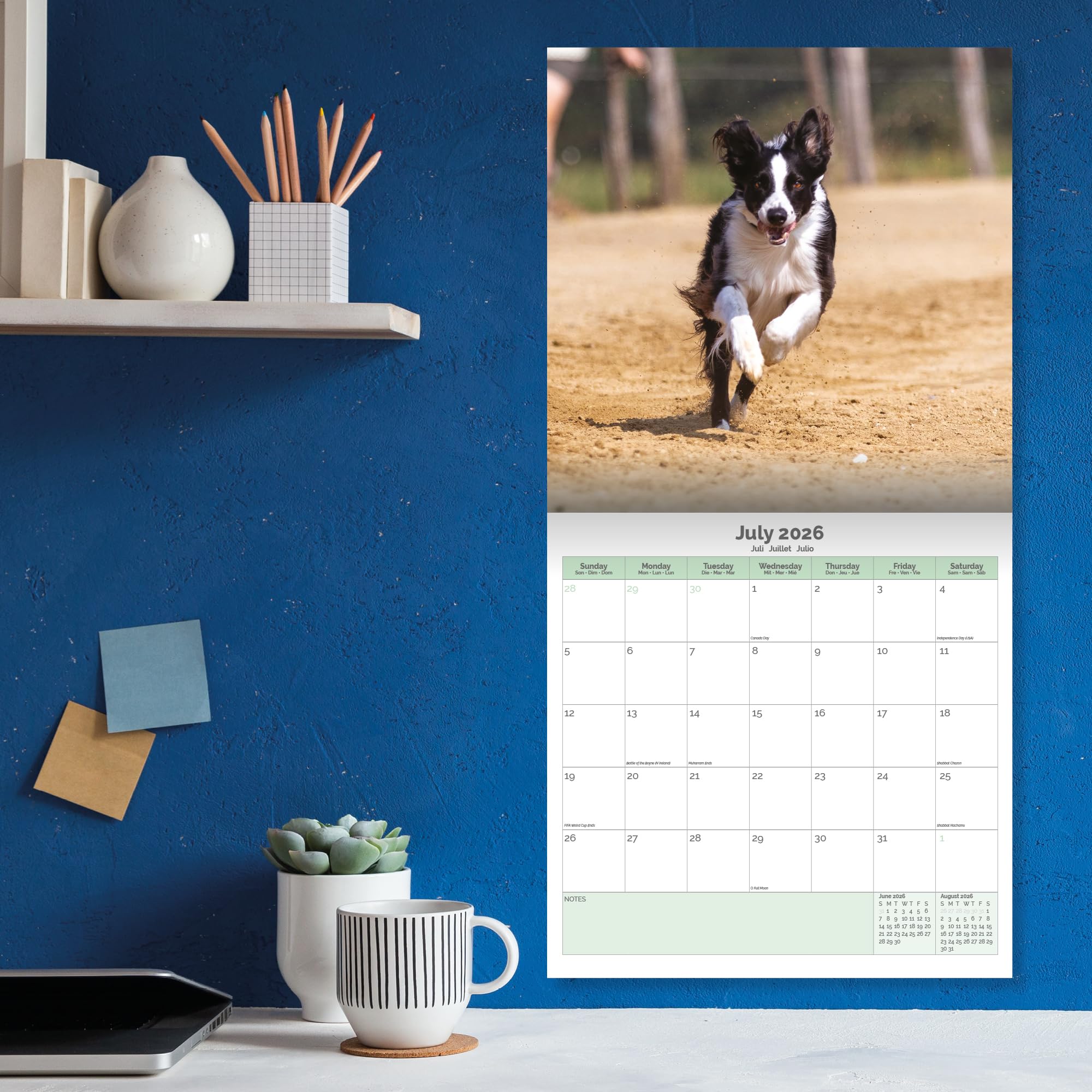 Border Collie Calendar 2026