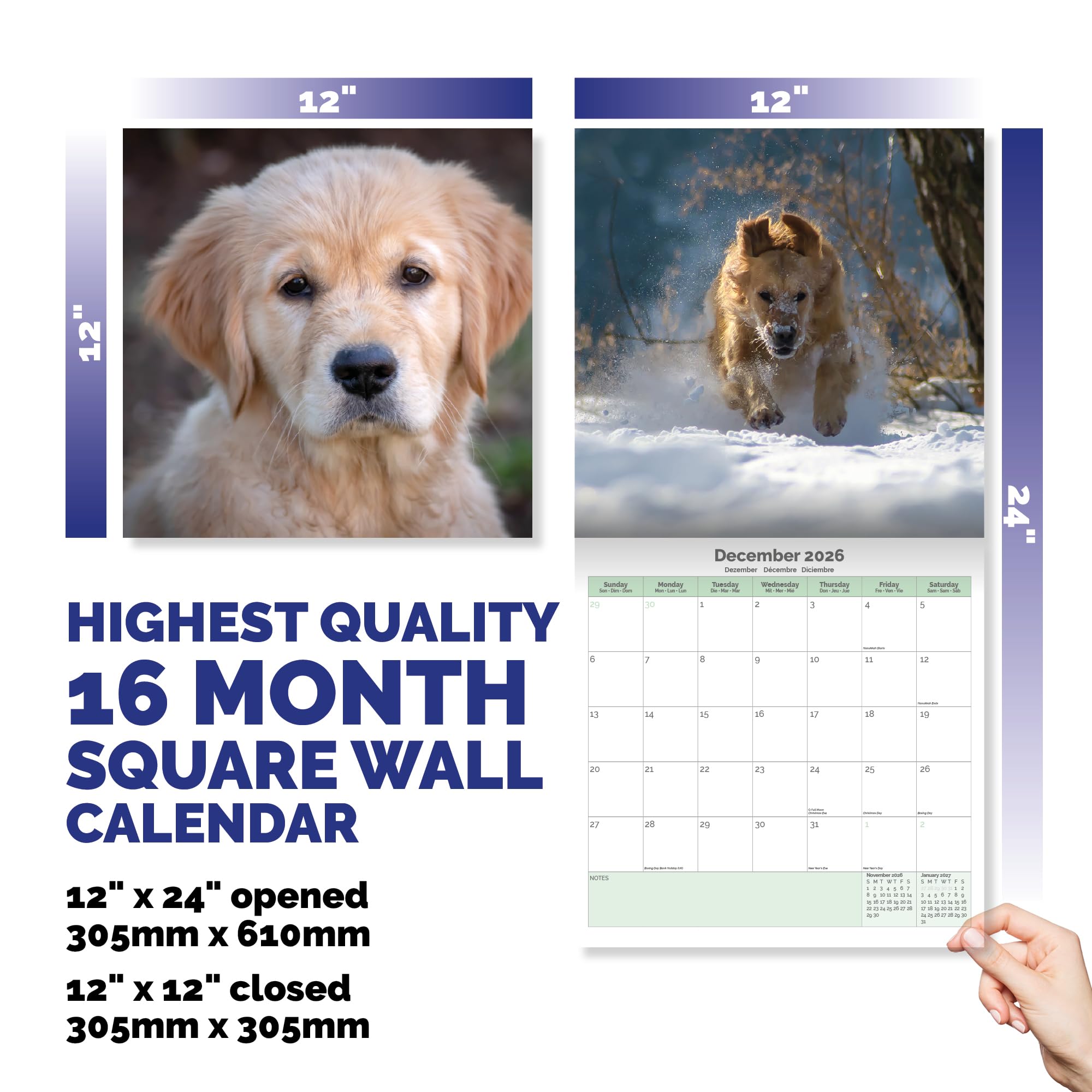 Golden Retriever Calendar 2026