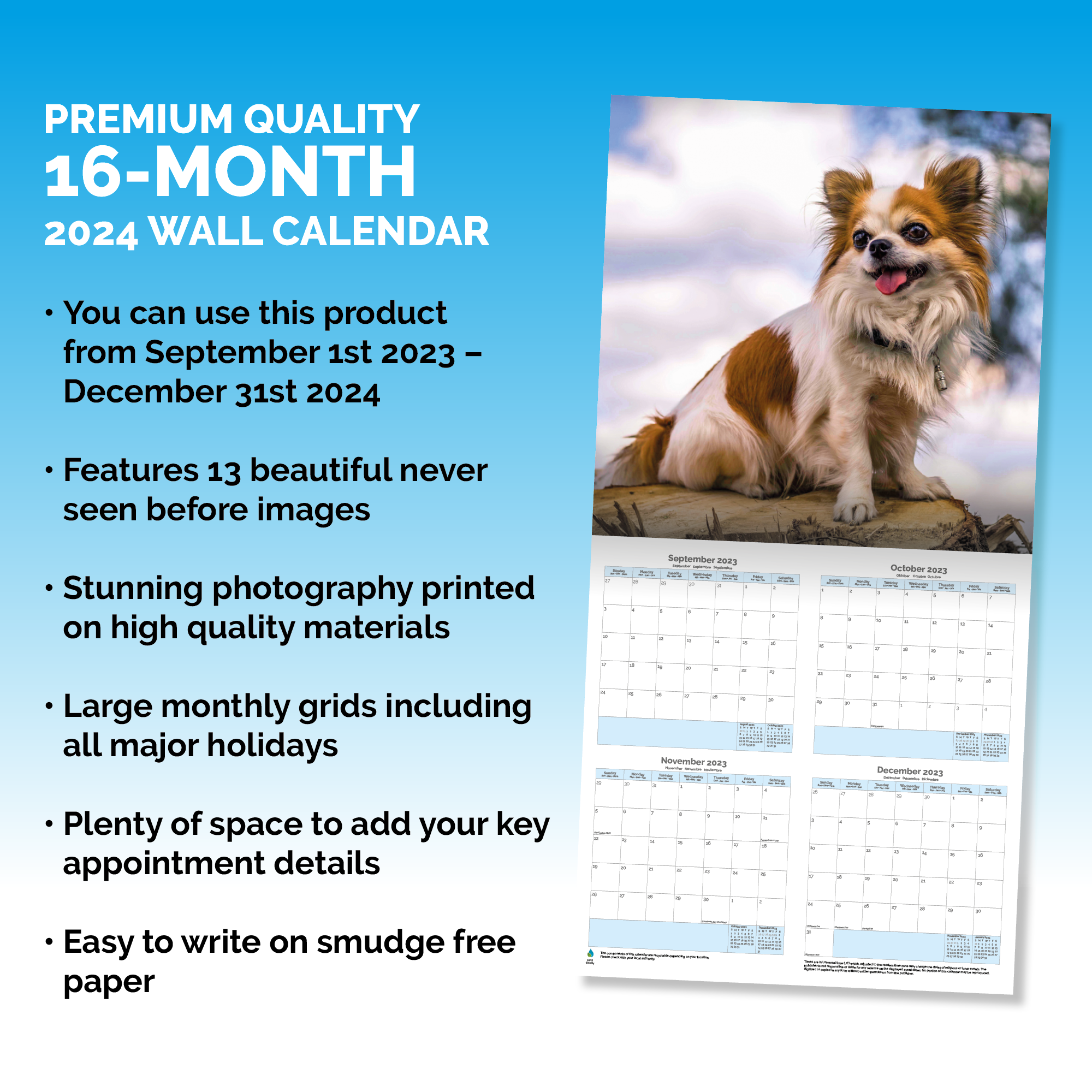 Chihuahua Calendar 2024