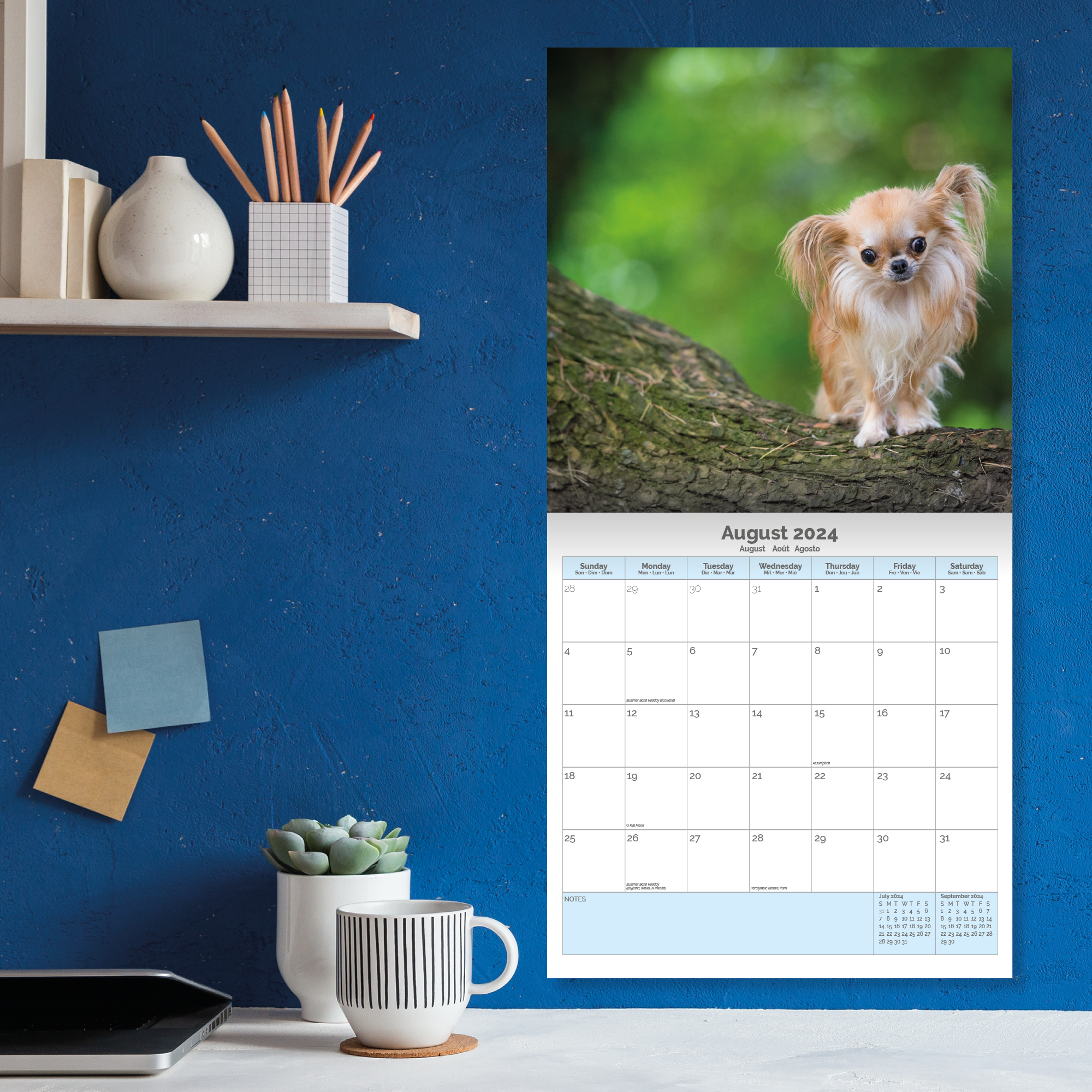Chihuahua Calendar 2024