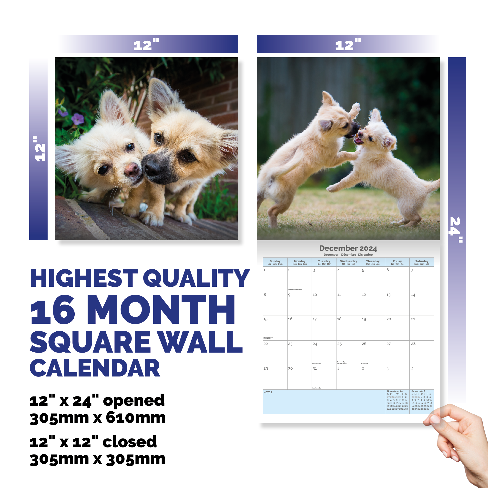 Chihuahua Calendar 2024
