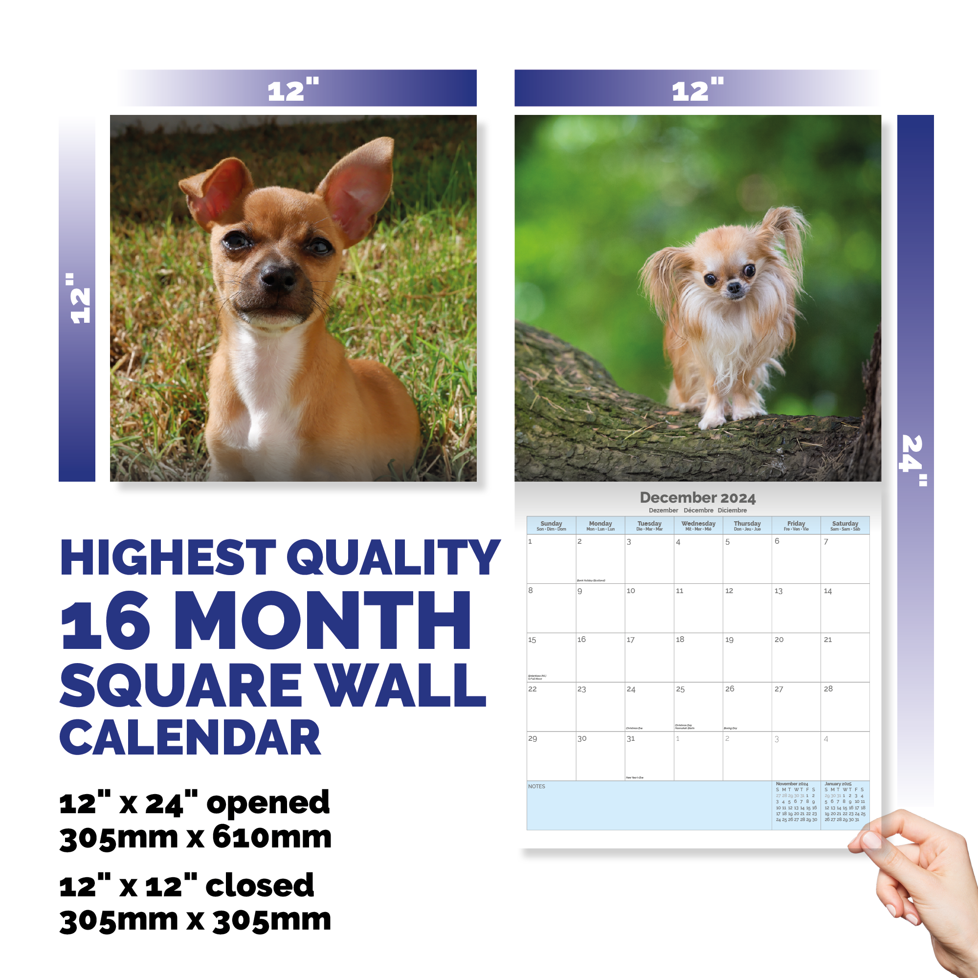 Chihuahua Puppies Calendar 2024