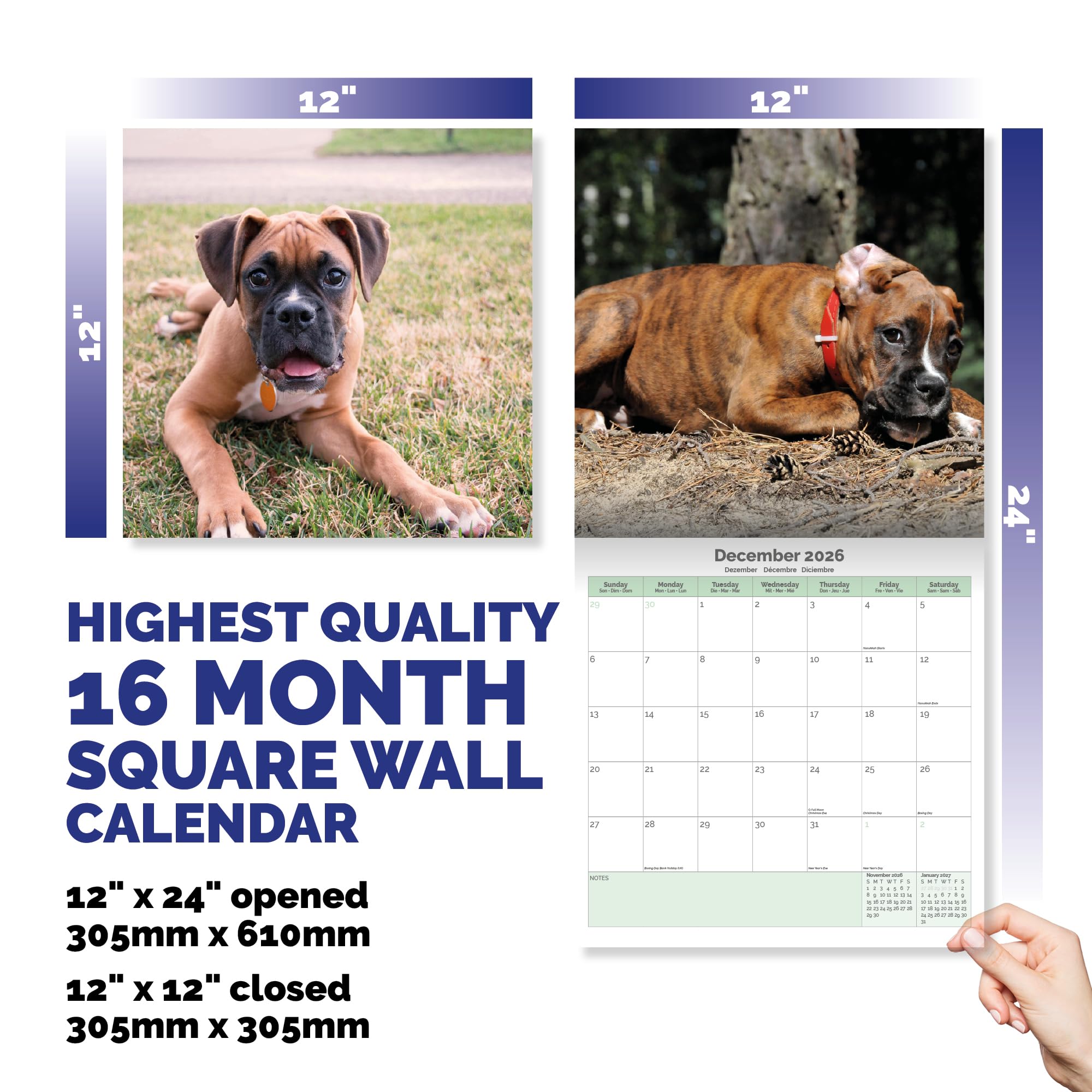 Boxer Dog Puppies Calendar 2026