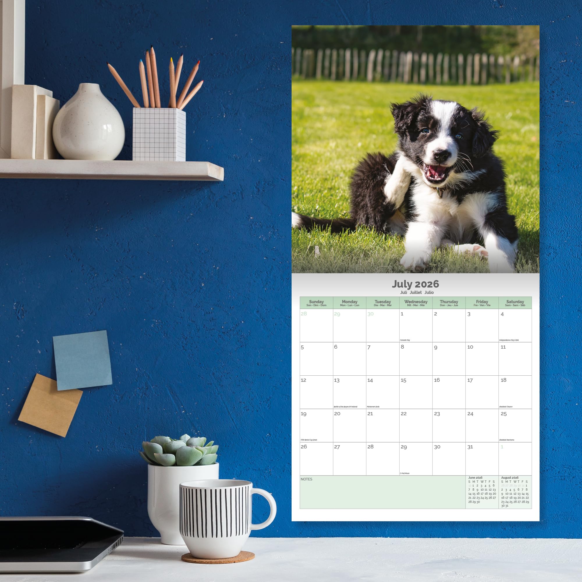 Border Collie Puppies Calendar 2026