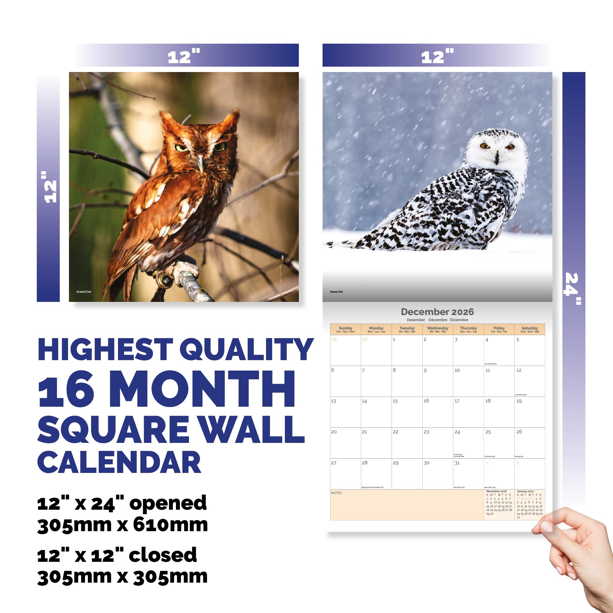 Owls Calendar 2026