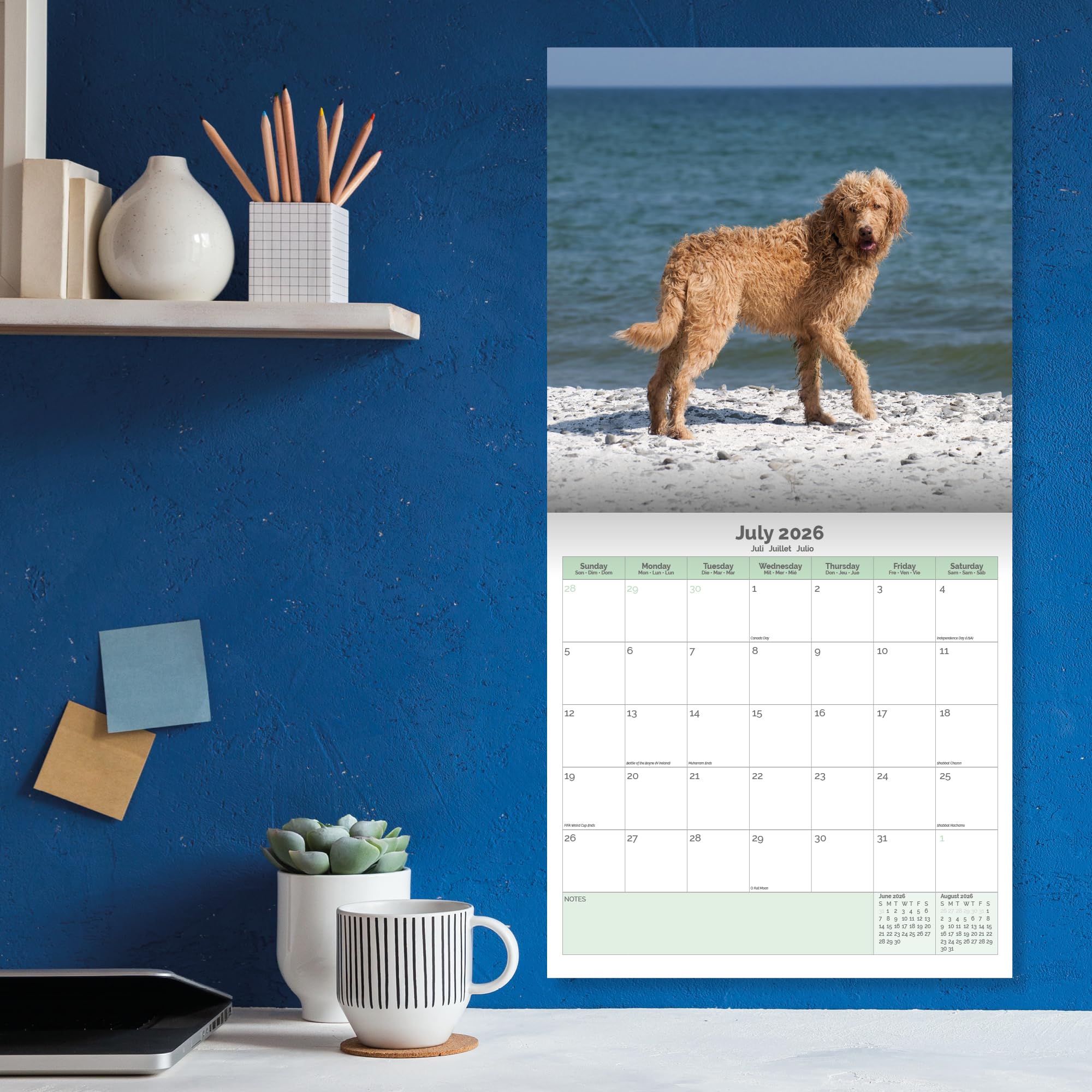 Labradoodle Calendar 2026