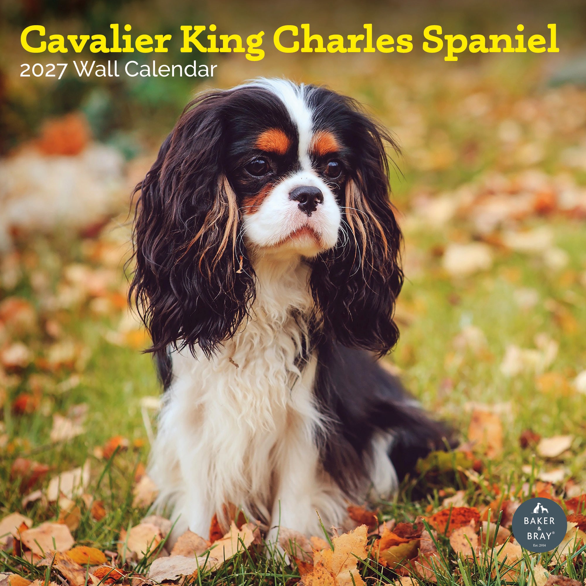 Cavalier King Charles Calendar 2026