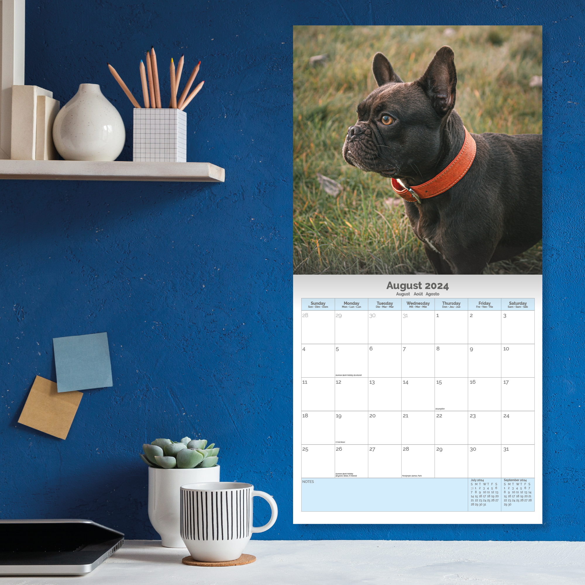 French Bulldog Calendar 2024