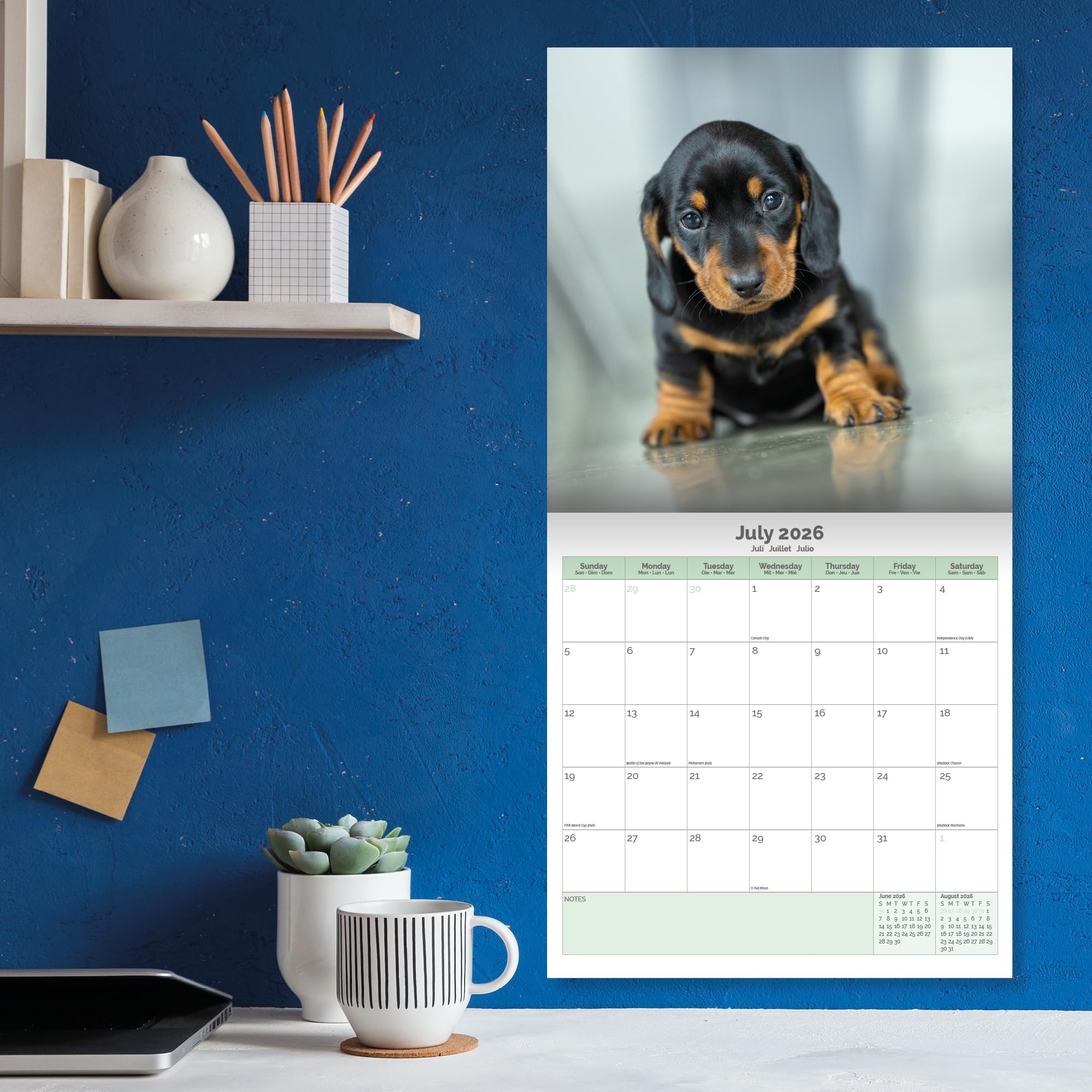 Dachshund Puppies Calendar 2026