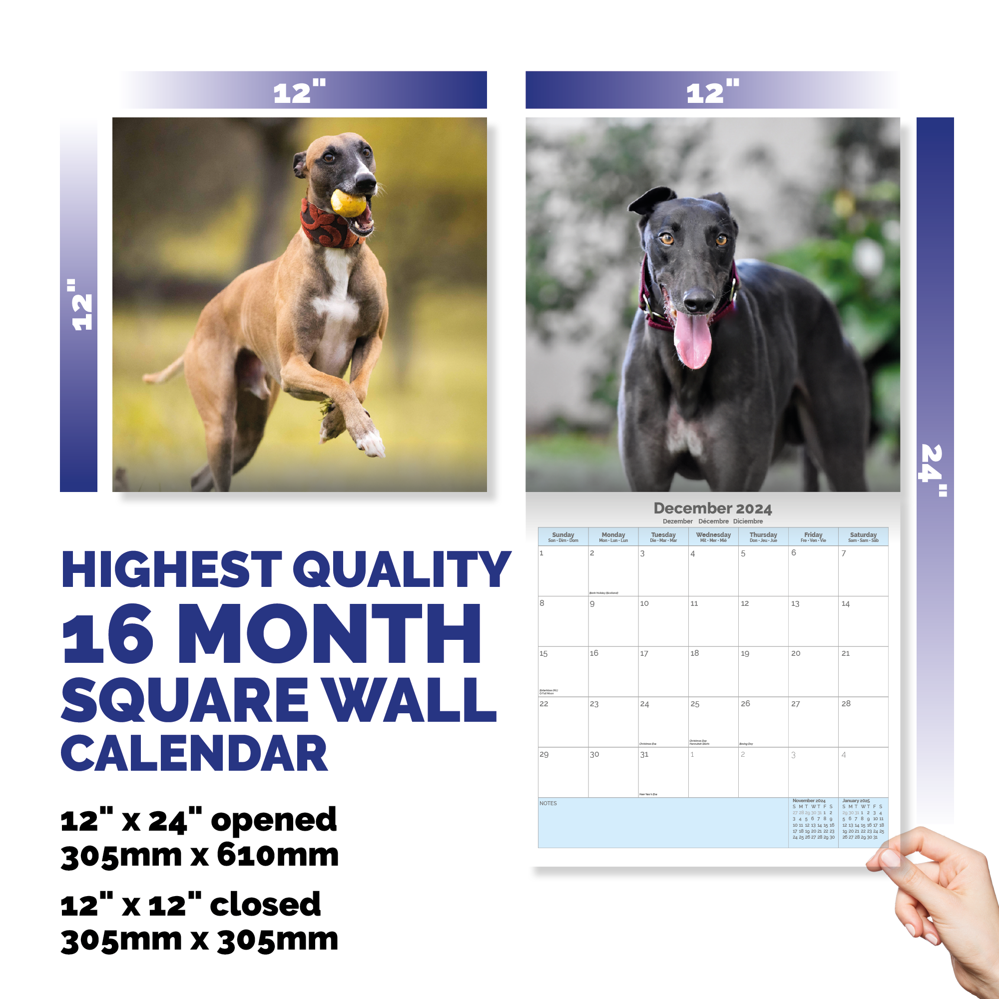 Greyhound Calendar 2024