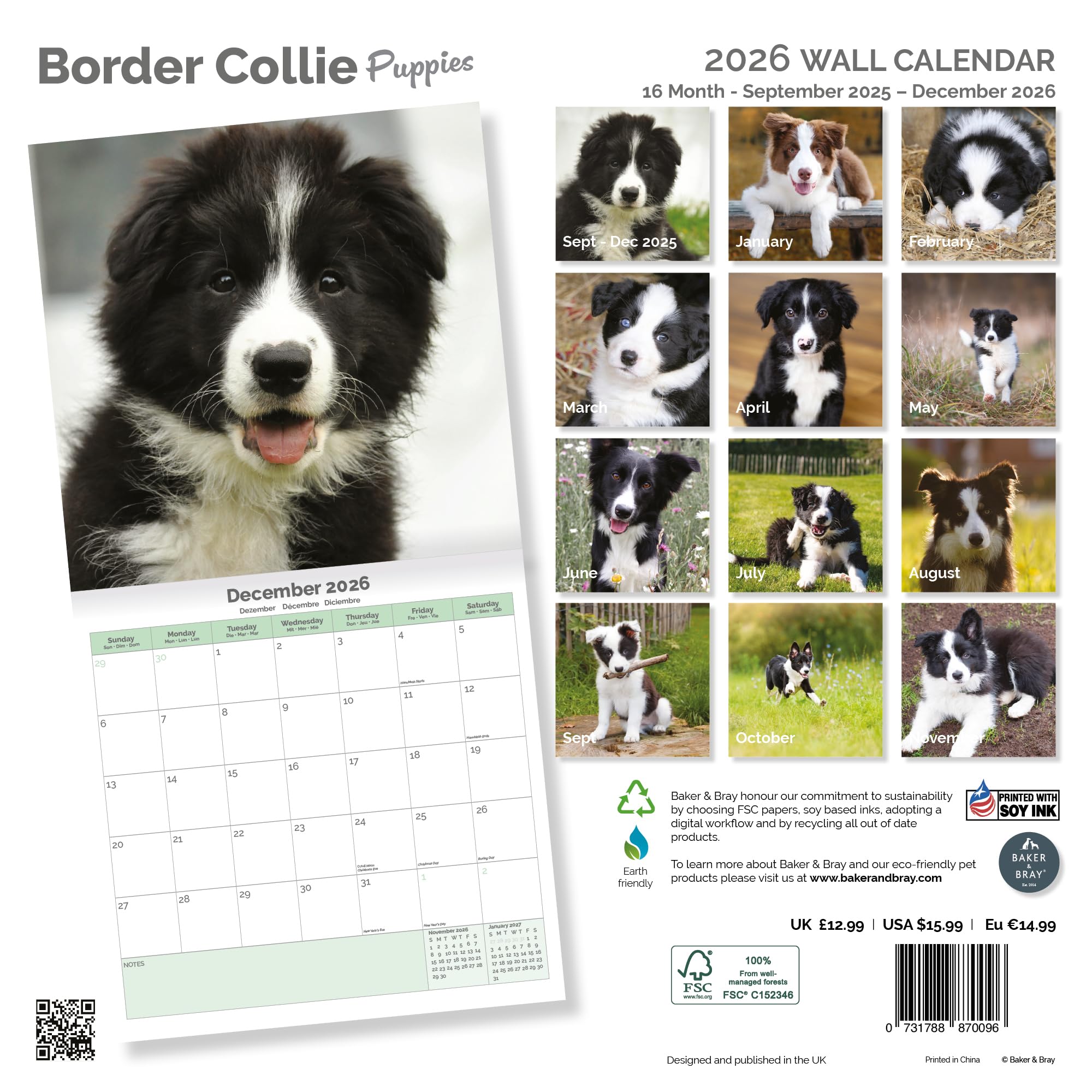 Border Collie Puppies Calendar 2026