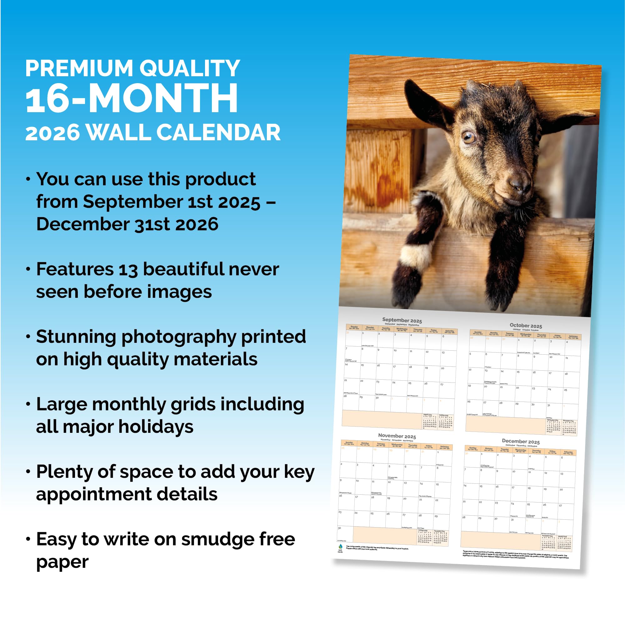 Baby Goats Calendar 2026