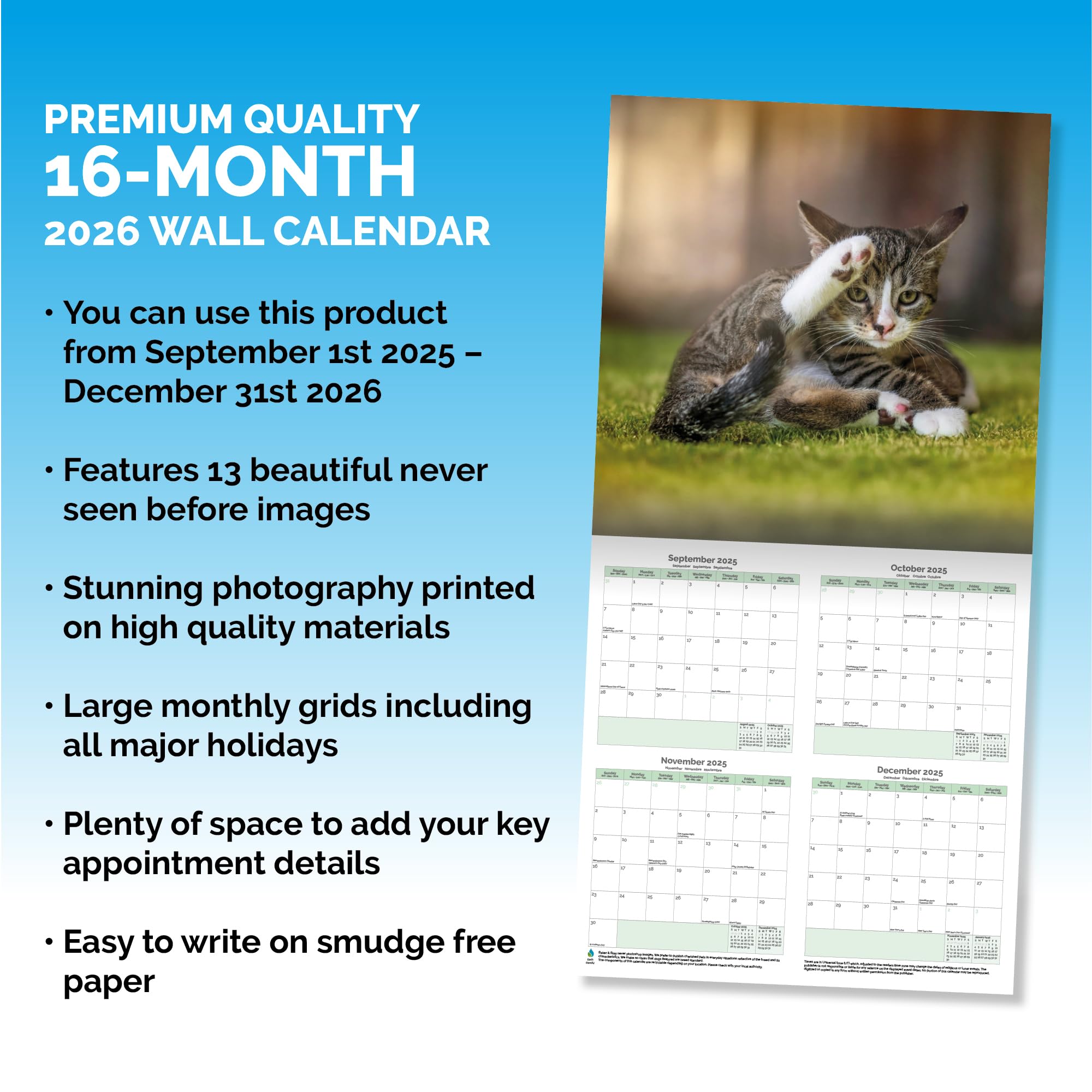 Cats Calendar 2026